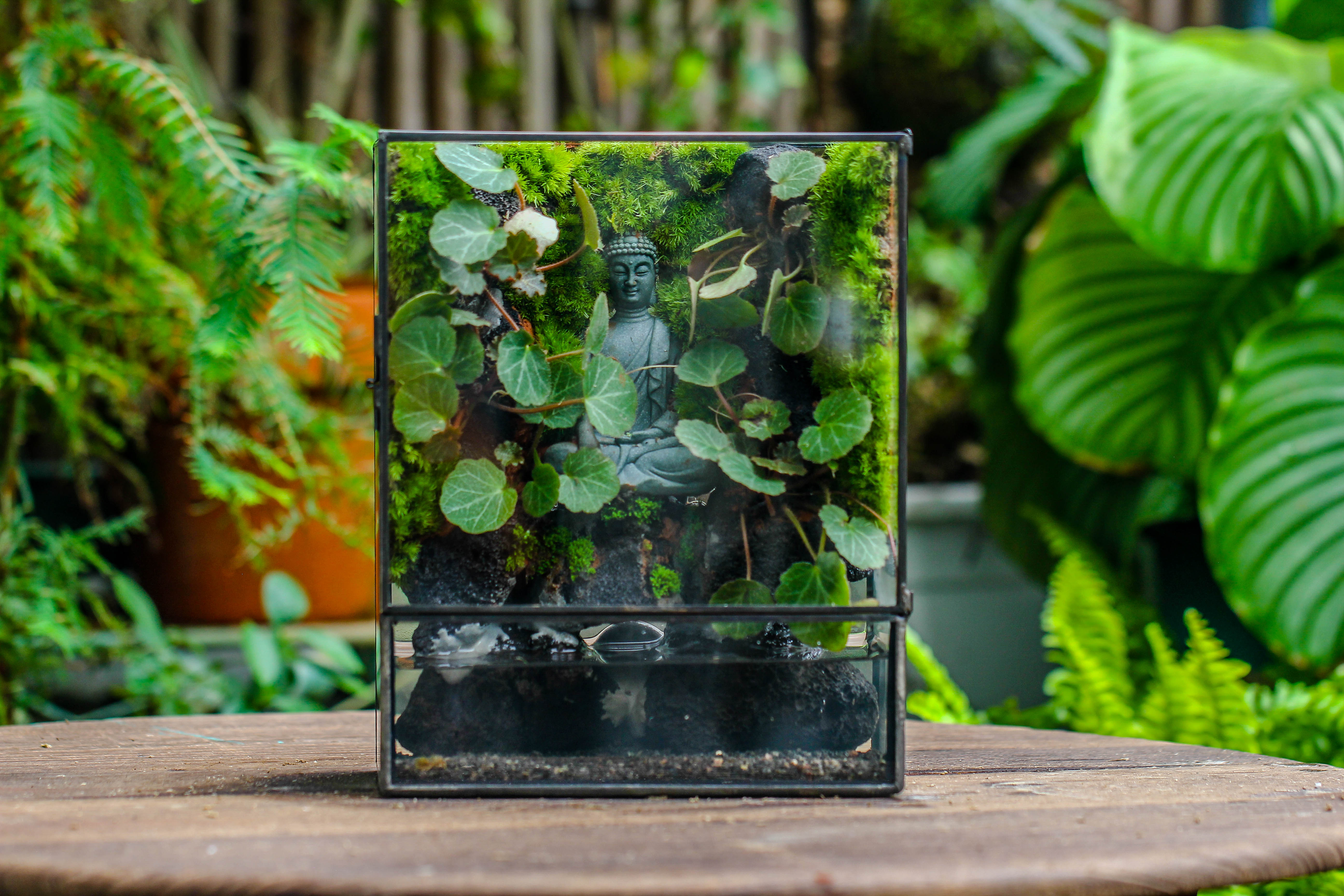 Close Geometric Glass Tin Terrarium , Watertight, 8x10" Container for Moss Wall, Fern, Landscape waterpond, No plants, Customizable - NCYPgarden