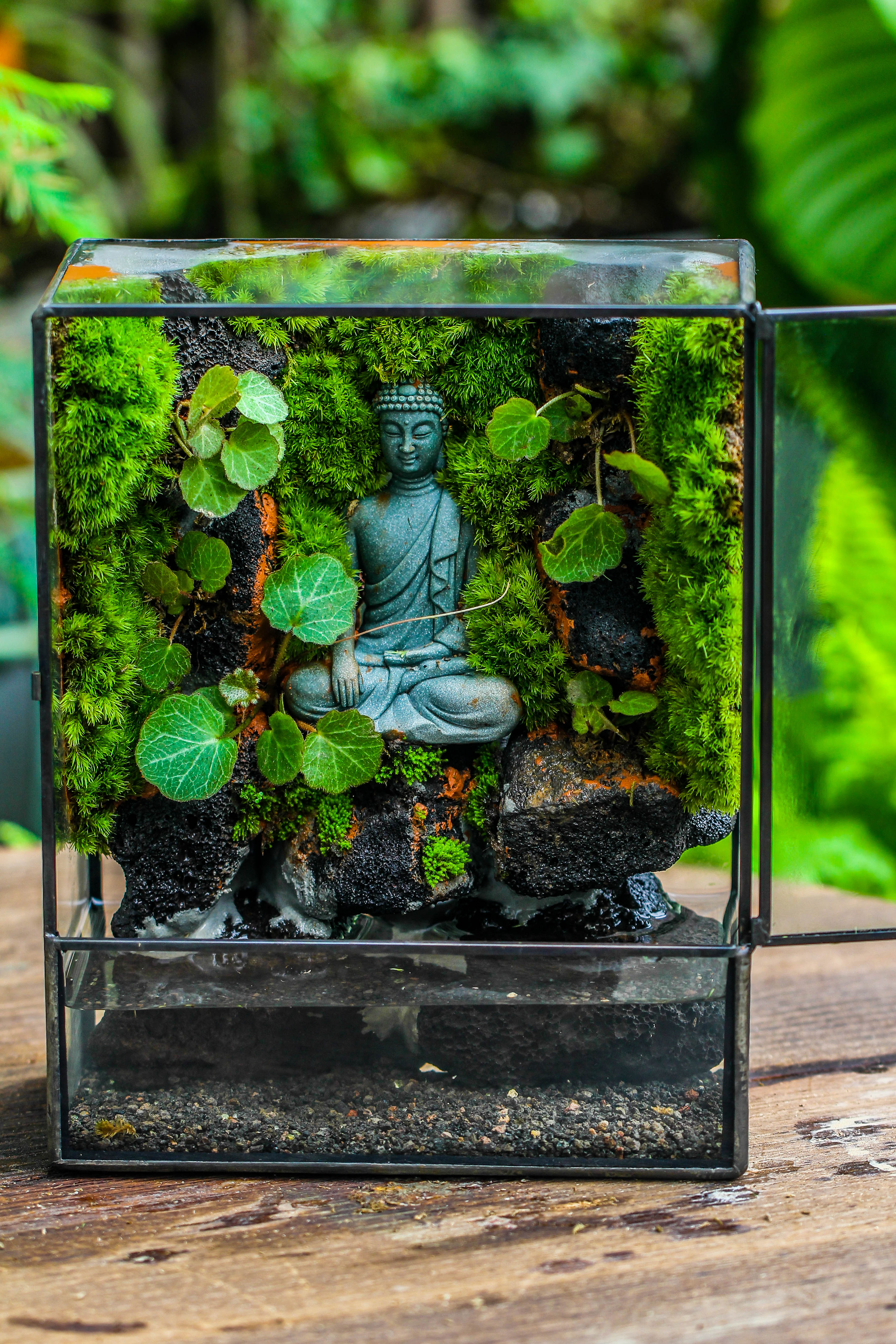 Close Geometric Glass Tin Terrarium , Watertight, 8x10" Container for Moss Wall, Fern, Landscape waterpond, No plants, Customizable - NCYPgarden