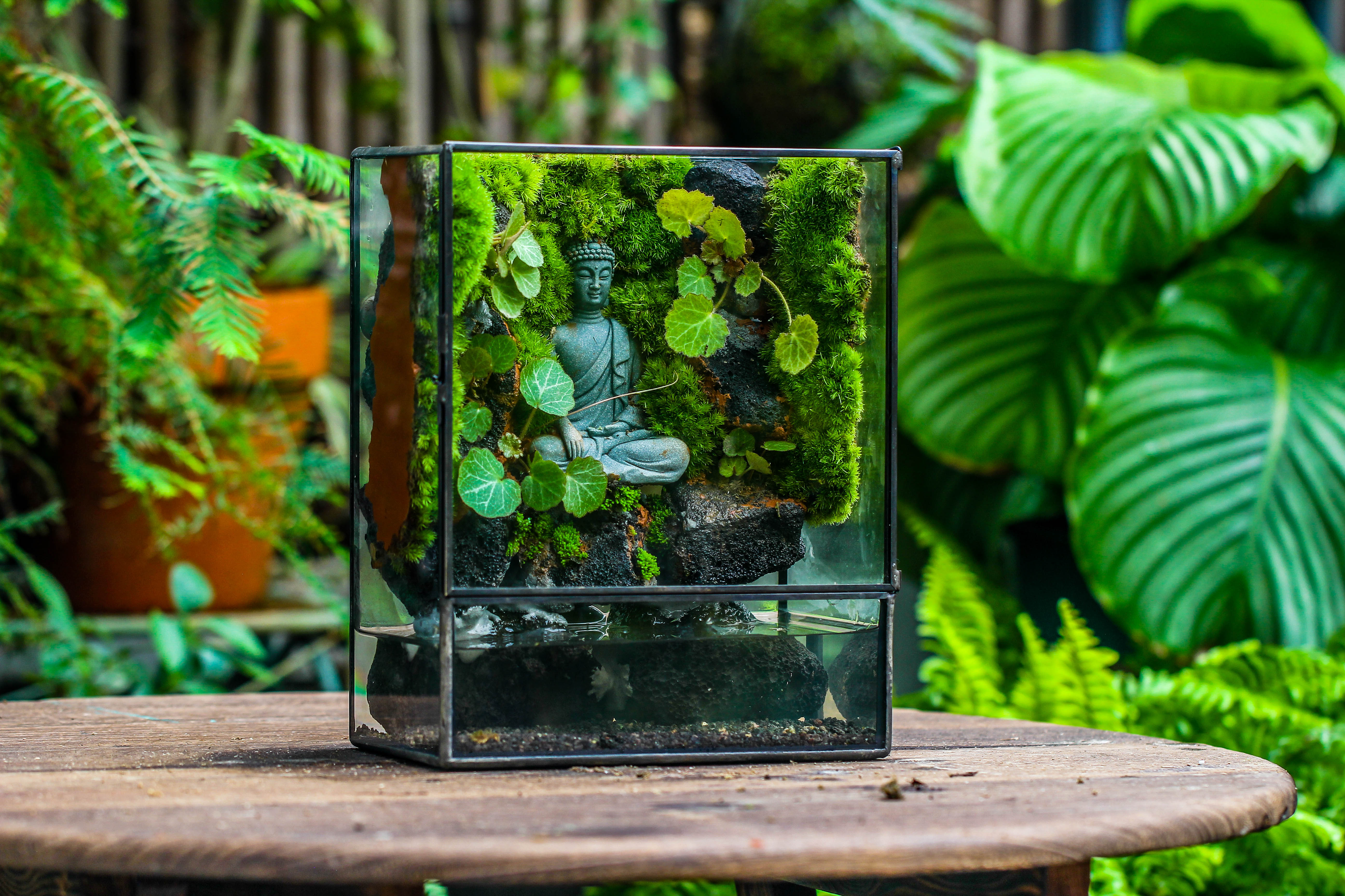 Close Geometric Glass Tin Terrarium , Watertight, 8x10" Container for Moss Wall, Fern, Landscape waterpond, No plants, Customizable - NCYPgarden