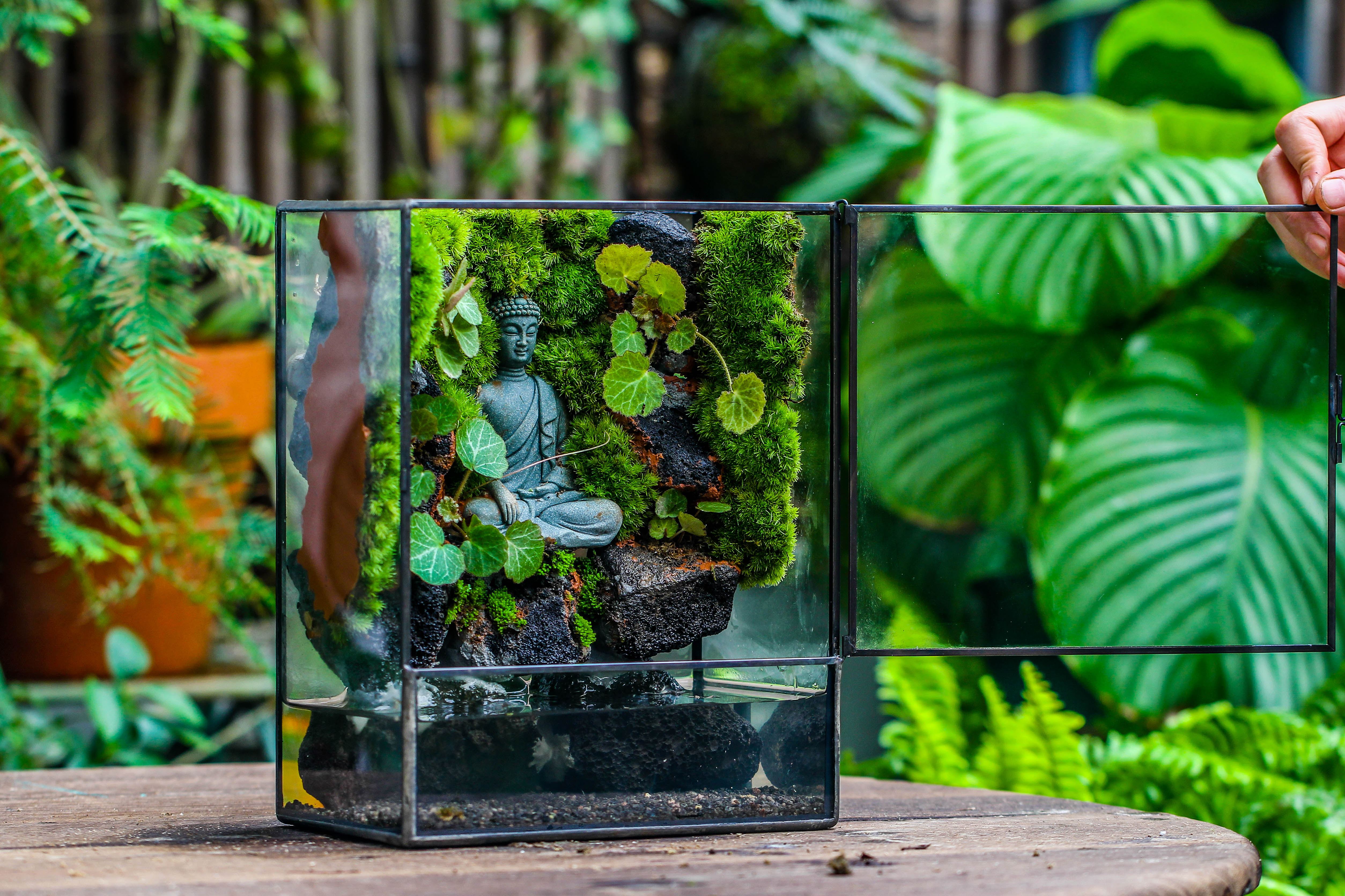 Close Geometric Glass Tin Terrarium , Watertight, 8x10" Container for Moss Wall, Fern, Landscape waterpond, No plants, Customizable - NCYPgarden