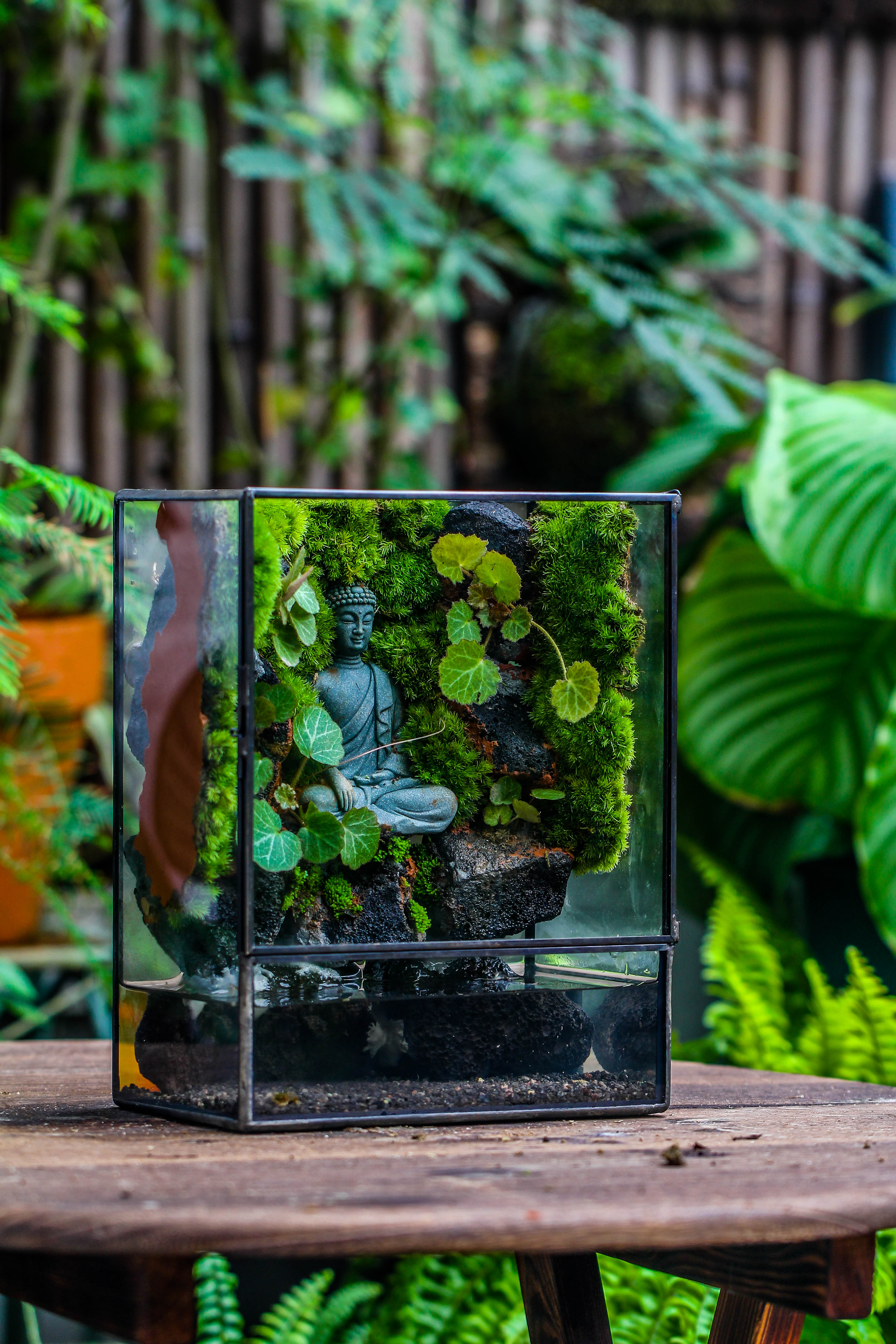 Close Geometric Glass Tin Terrarium , Watertight, 8x10" Container for Moss Wall, Fern, Landscape waterpond, No plants, Customizable - NCYPgarden