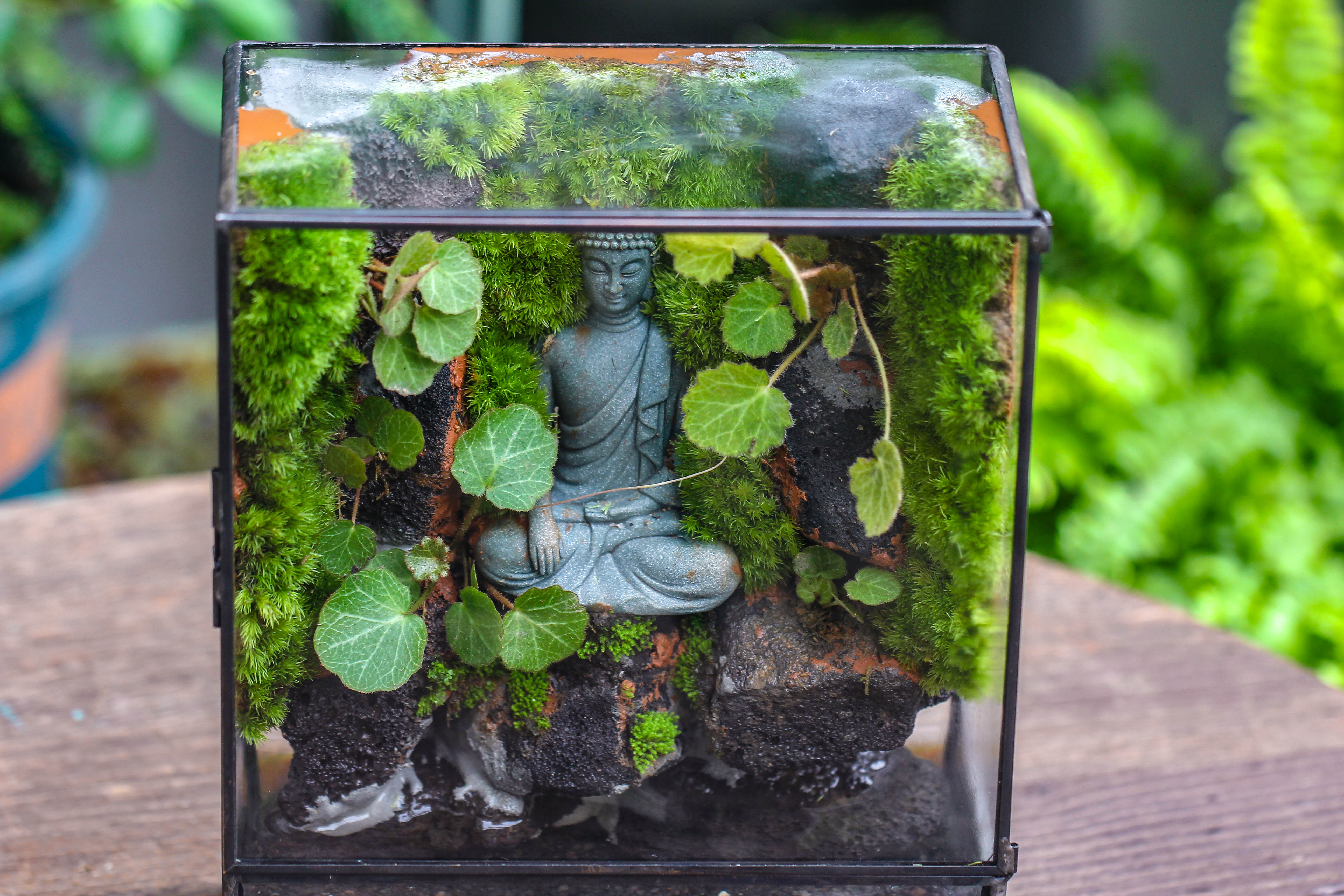 Close Geometric Glass Tin Terrarium , Watertight, 8x10" Container for Moss Wall, Fern, Landscape waterpond, No plants, Customizable - NCYPgarden