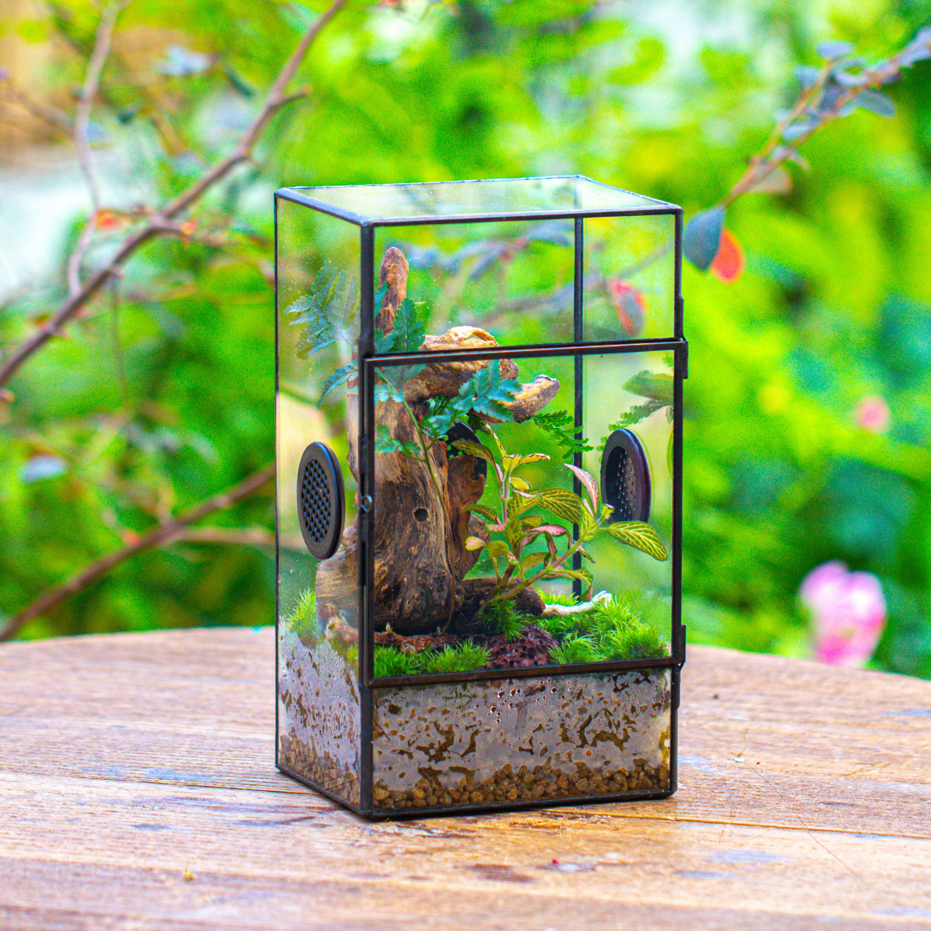 Glass Geometric Terrarium with Door Enclosure, Black Plastic Mesh Vent for Insects, Snail, Jumping Spider, Plants Not Included