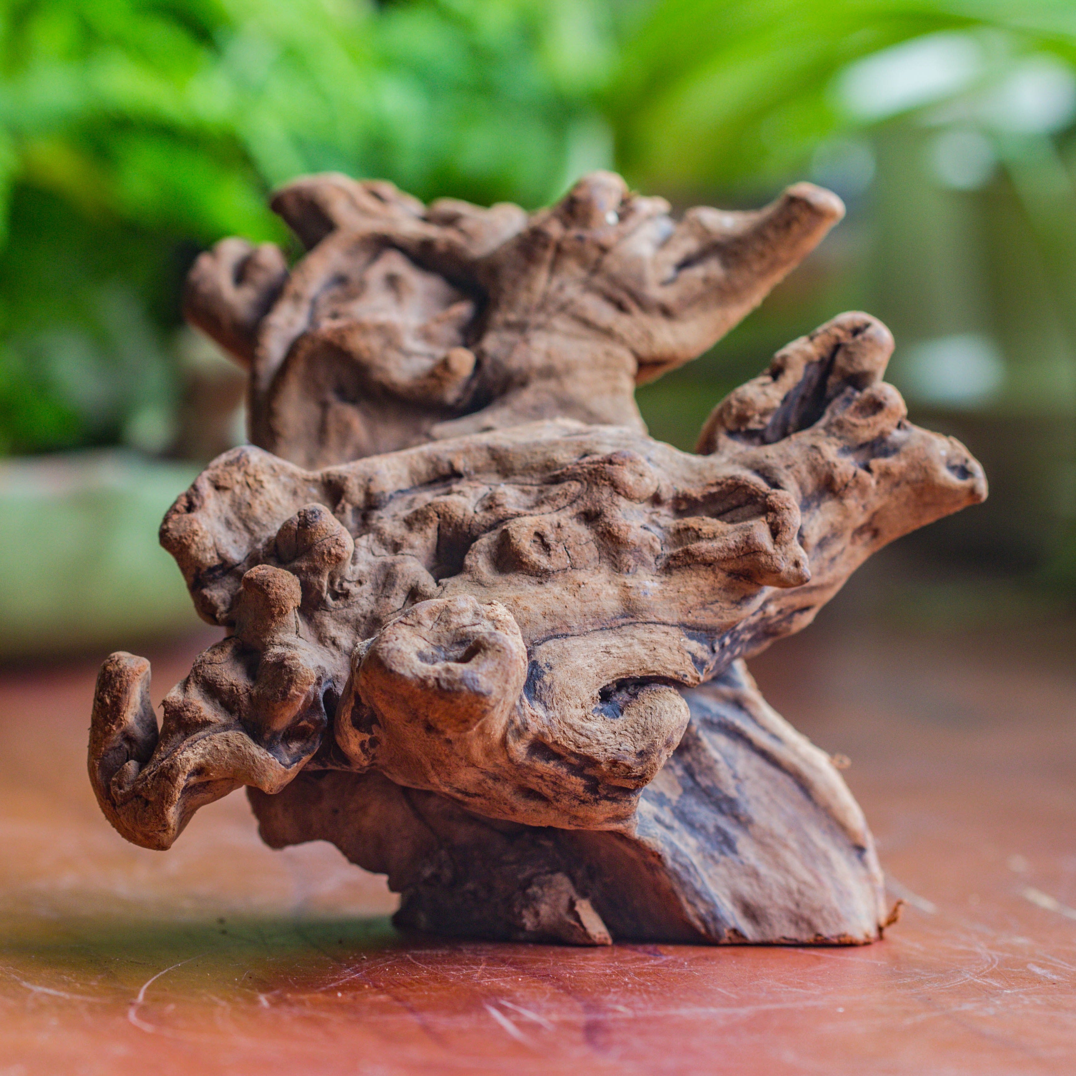 Natural driftwood for moss terrarium, miniature, micro landscape, unique  10-50, suitable for both live and preserved moss