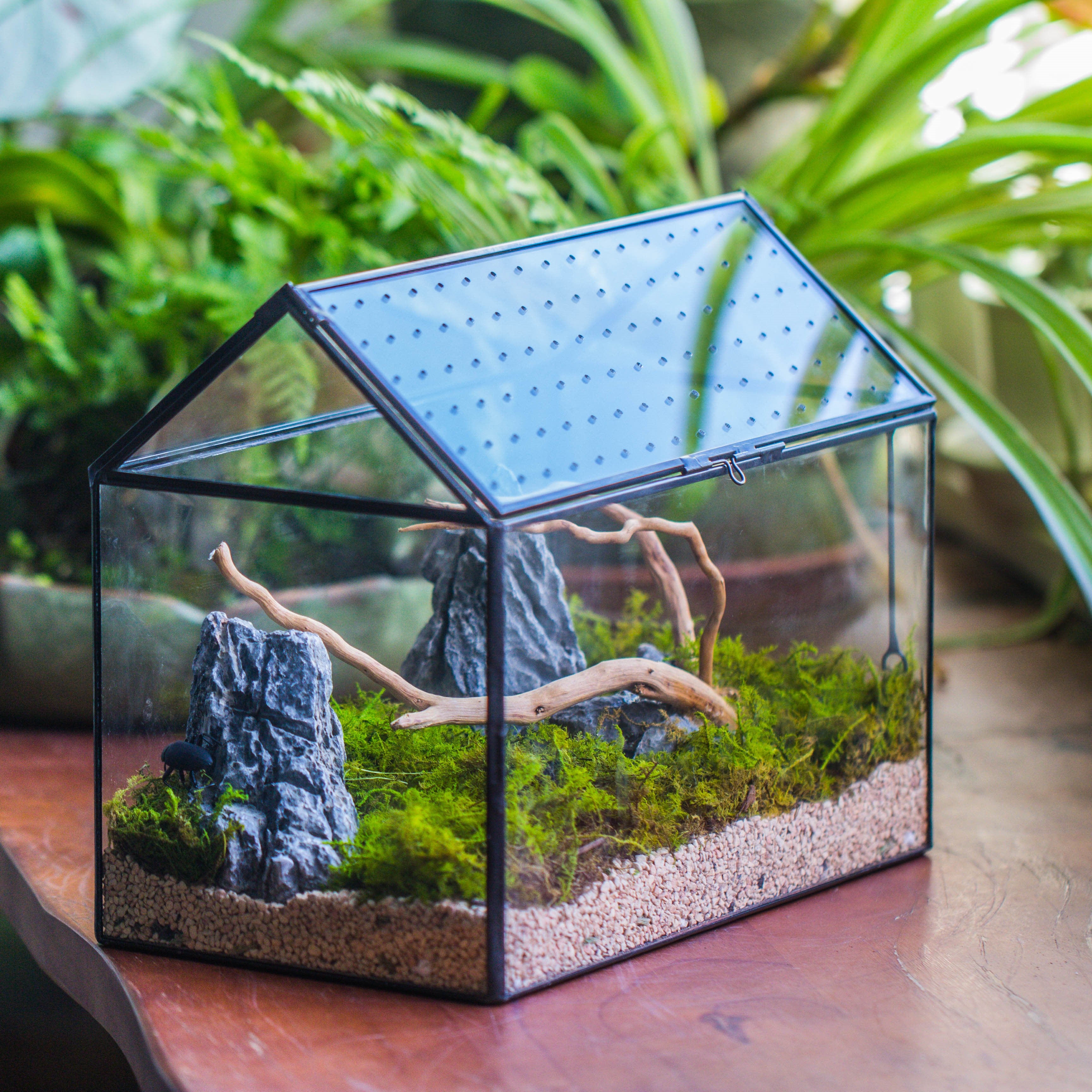 Handmade Close House-shaped Glass Terrarium Enclosure, with Acrylic Mesh Vent, for Jumping Spider, Snail Habitat, Terrarium Only