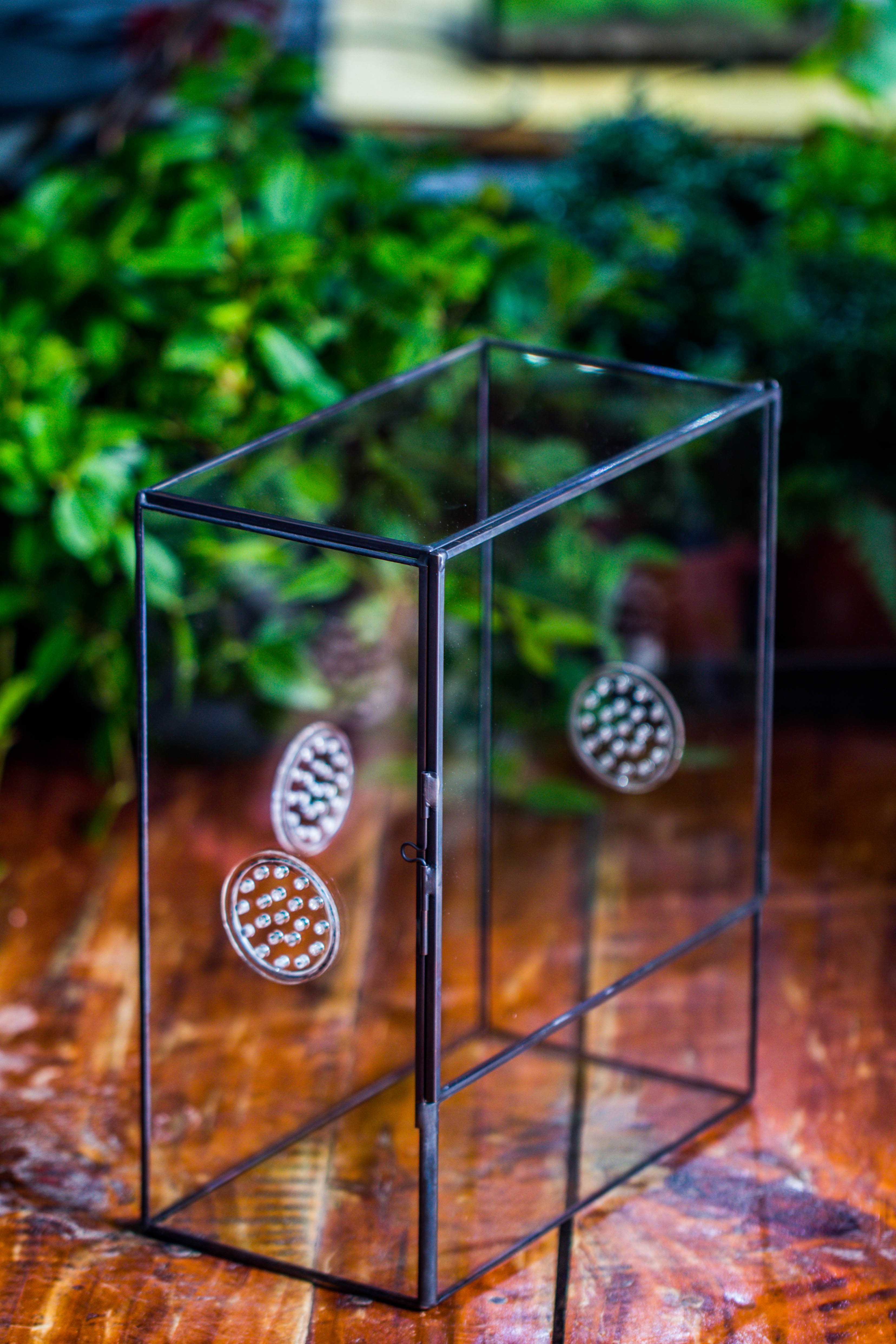 Close Geometric Glass Tin Terrarium with 3 Vents , 8x10" with side door, for insects, snail , spider, micro landscape - NCYPgarden