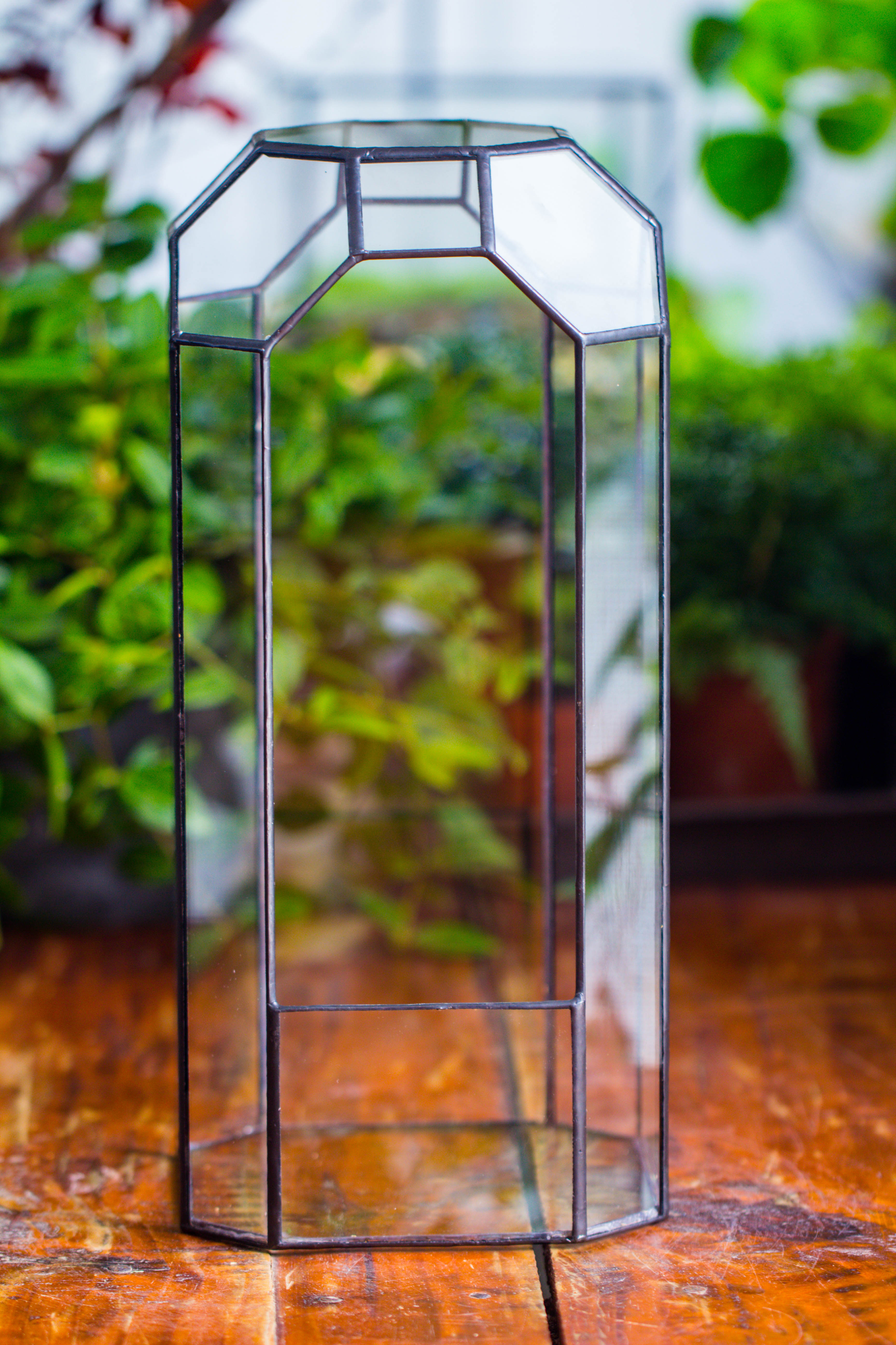 Vintage Tall Octagon Geometric Tin Glass Terrarium , 12.6" , open, suitable for tall plants, orchid, small begonia Pitcher, Micro landscape  -with white light set - NCYPgarden