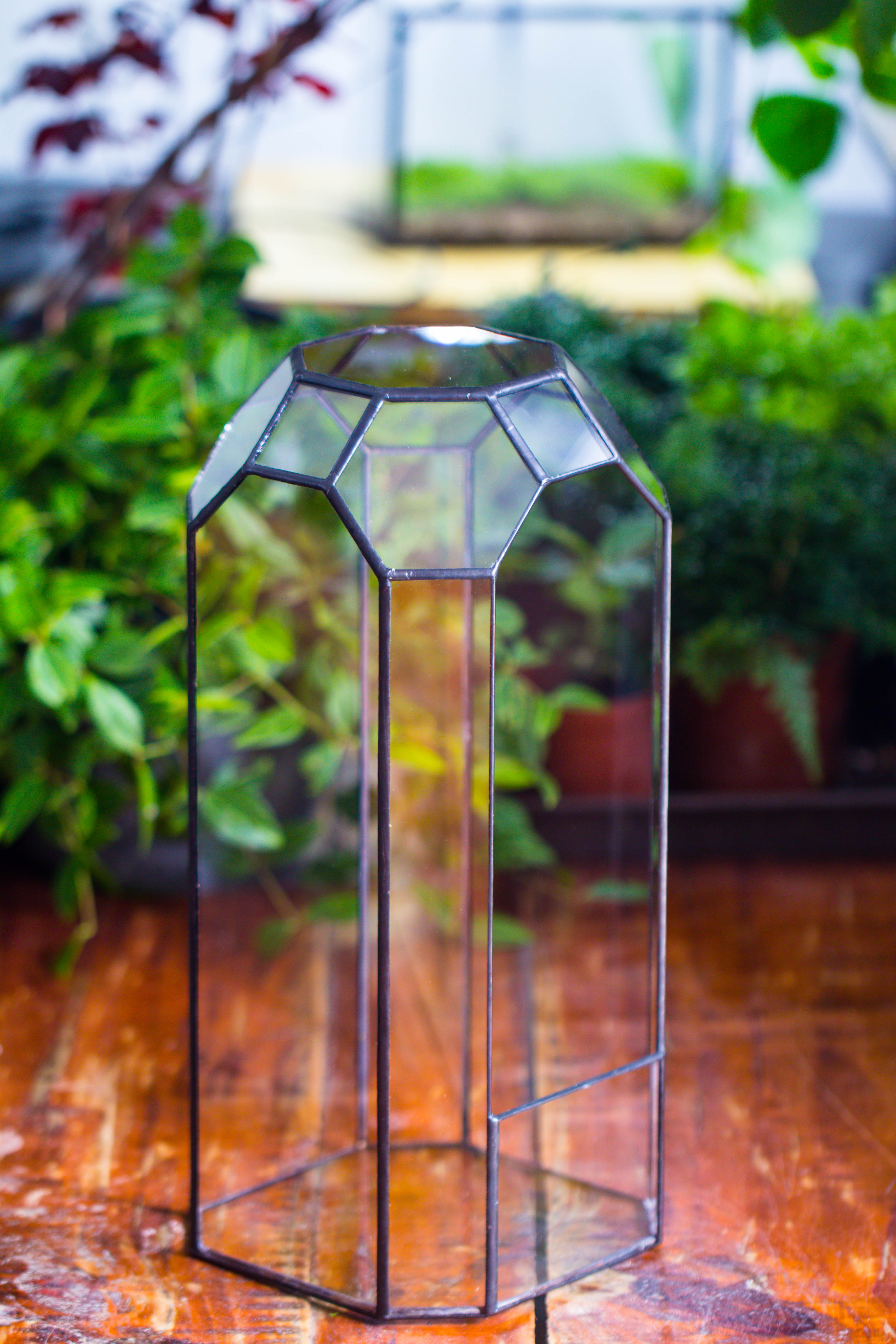 Vintage Tall Octagon Geometric Tin Glass Terrarium , 12.6" , open, suitable for tall plants, orchid, small begonia Pitcher, Micro landscape  -with white light set - NCYPgarden