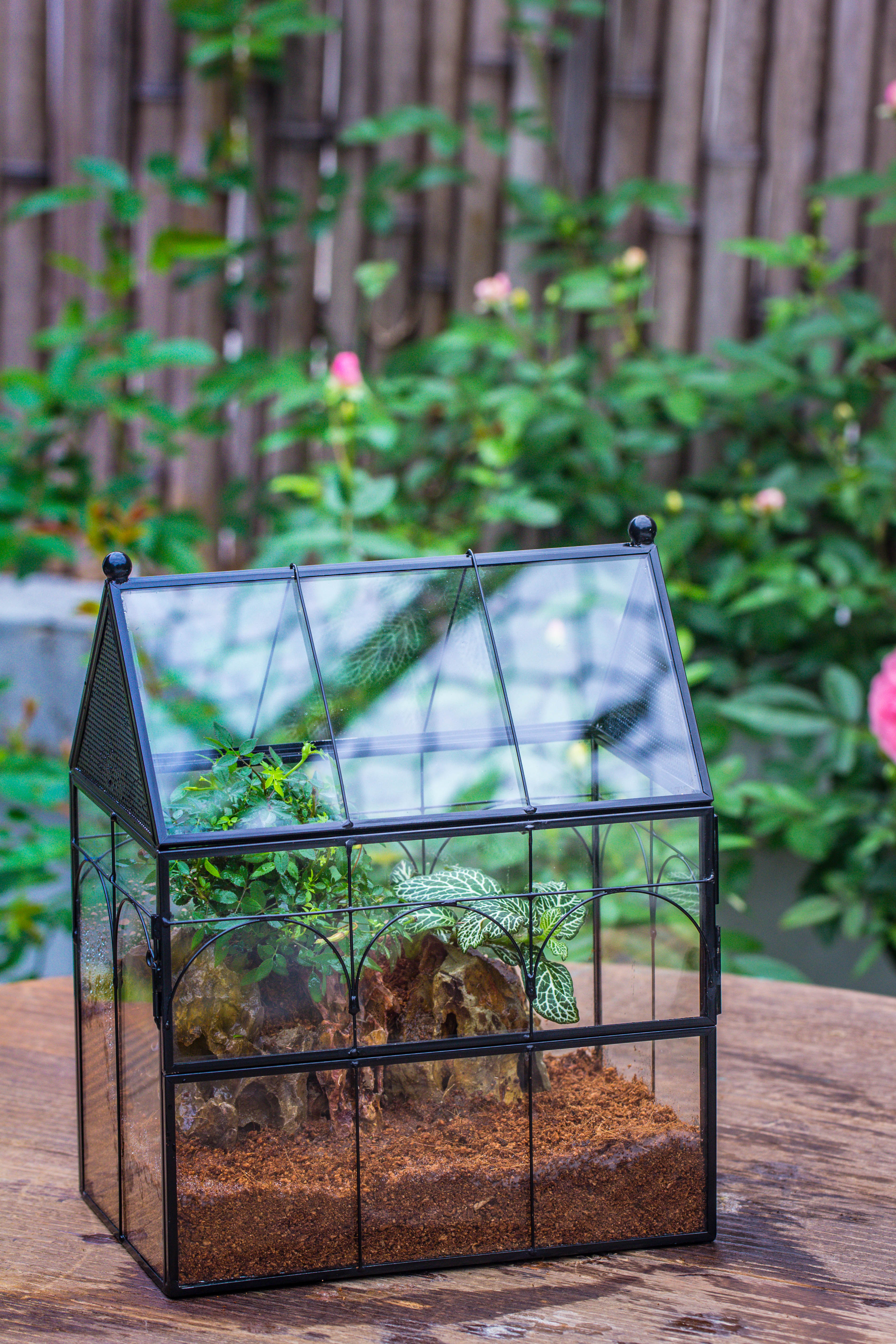 Handmade Terrarium with Light, House Shape Glass Geometric Terrarium with LED Light Set, Wooden Base, Jumping Spider Terrarium,Gift for Dad - NCYPgarden