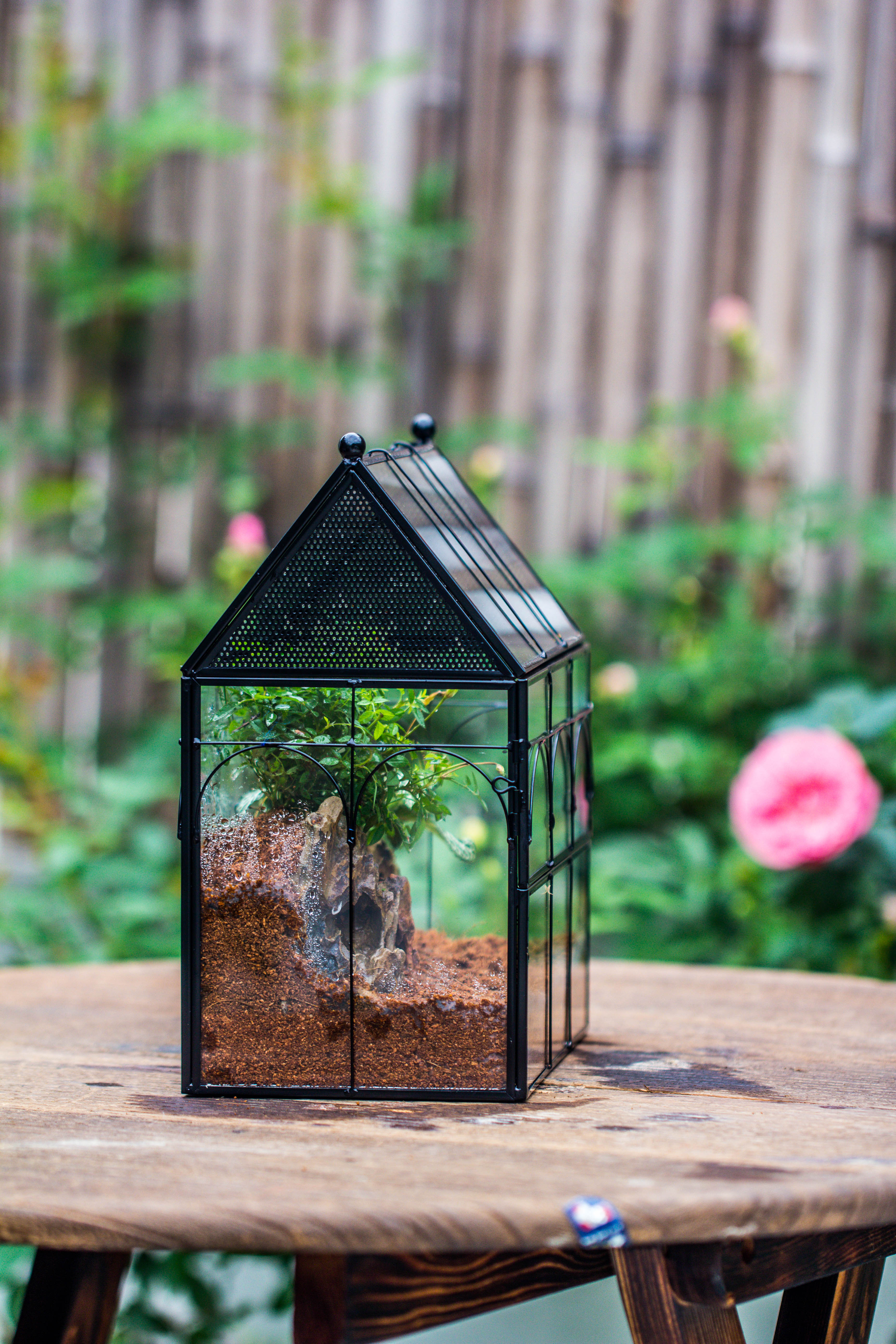 NCYP Vintage House Shape Tin and Glass Geometric Terrarium, with side door, with Mesh / vent holes for small Insects Pet - NCYPgarden