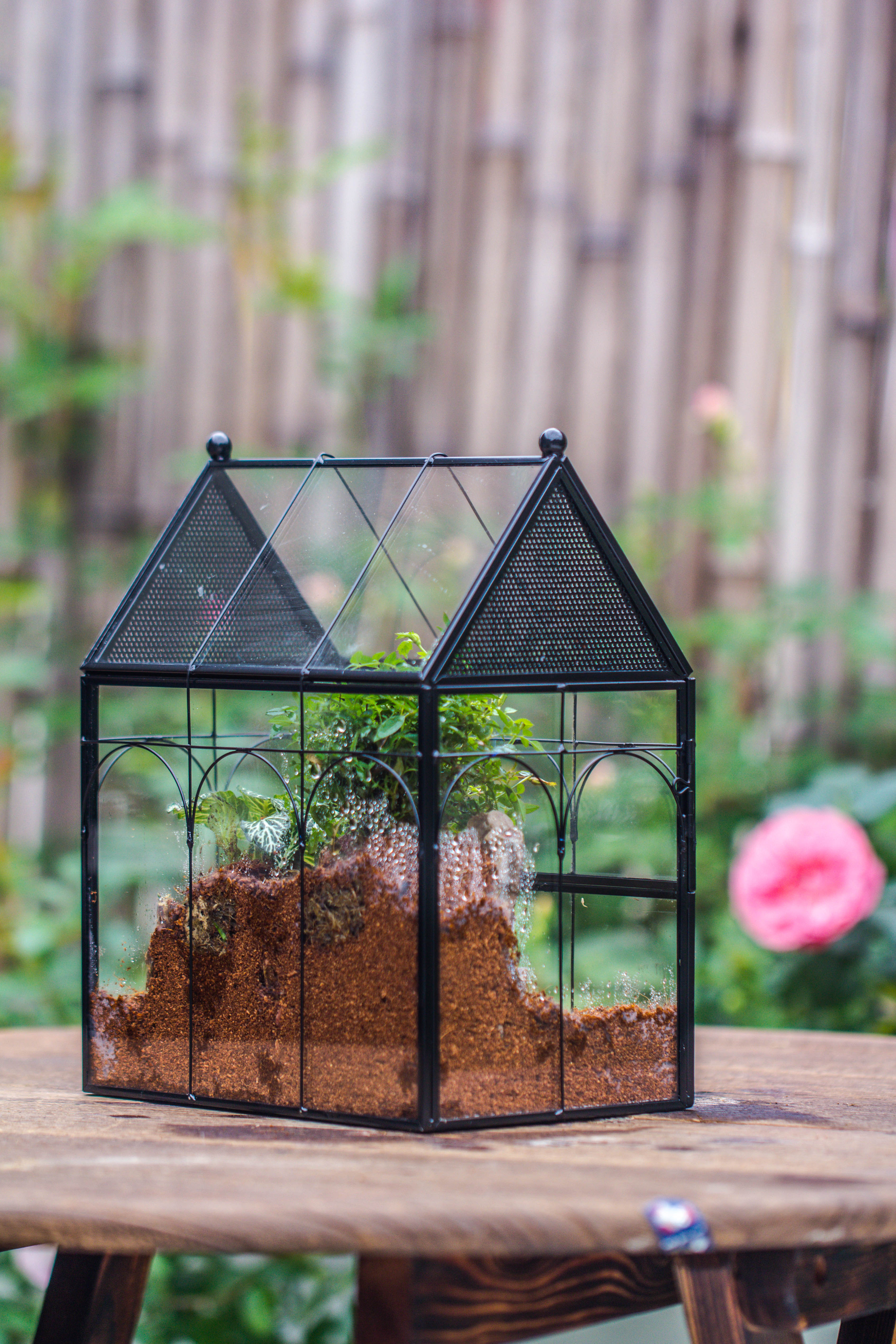 NCYP Vintage House Shape Tin and Glass Geometric Terrarium, with side door, with Mesh / vent holes for small Insects Pet - NCYPgarden