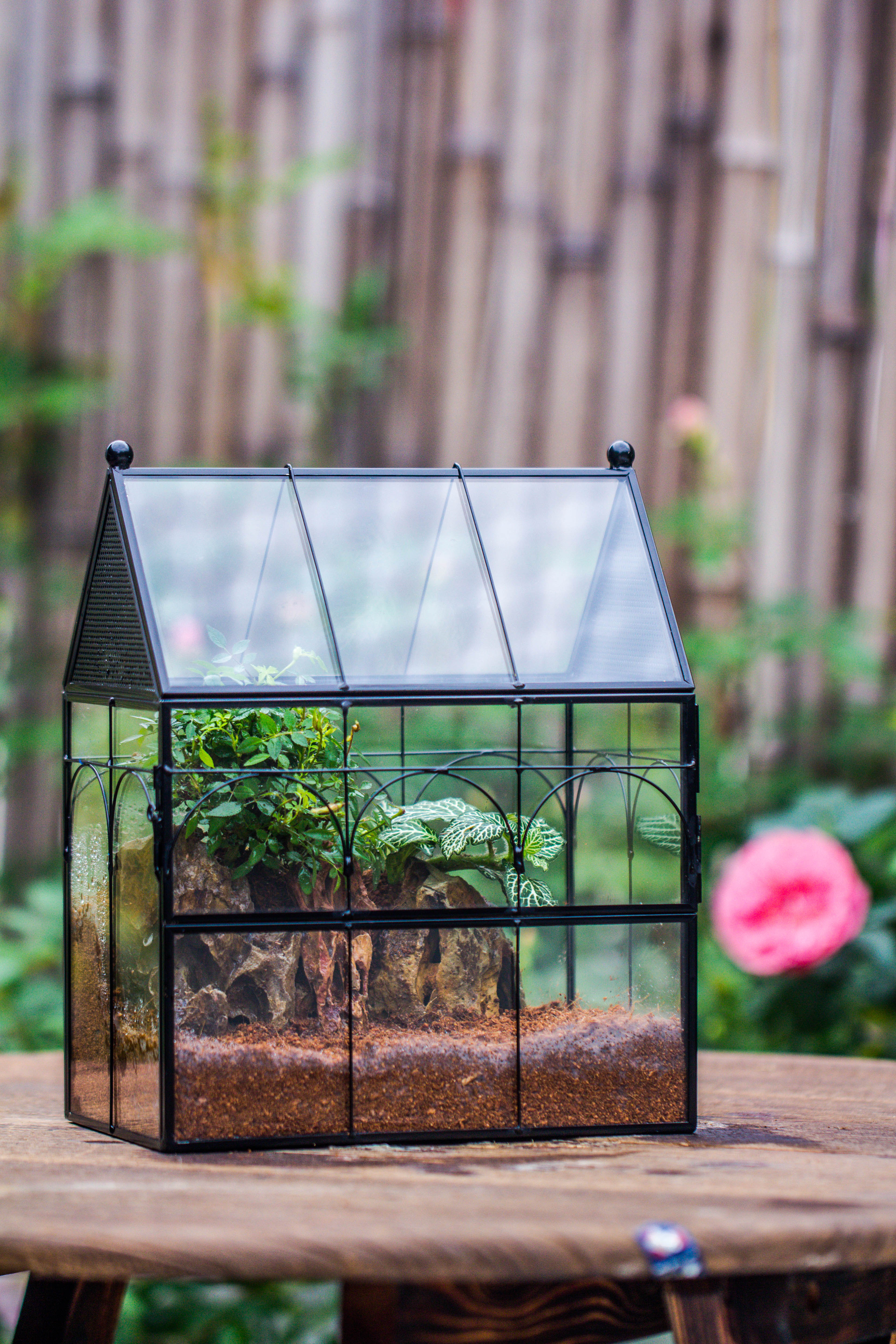 NCYP Vintage House Shape Tin and Glass Geometric Terrarium, with side door, with Mesh / vent holes for small Insects Pet - NCYPgarden