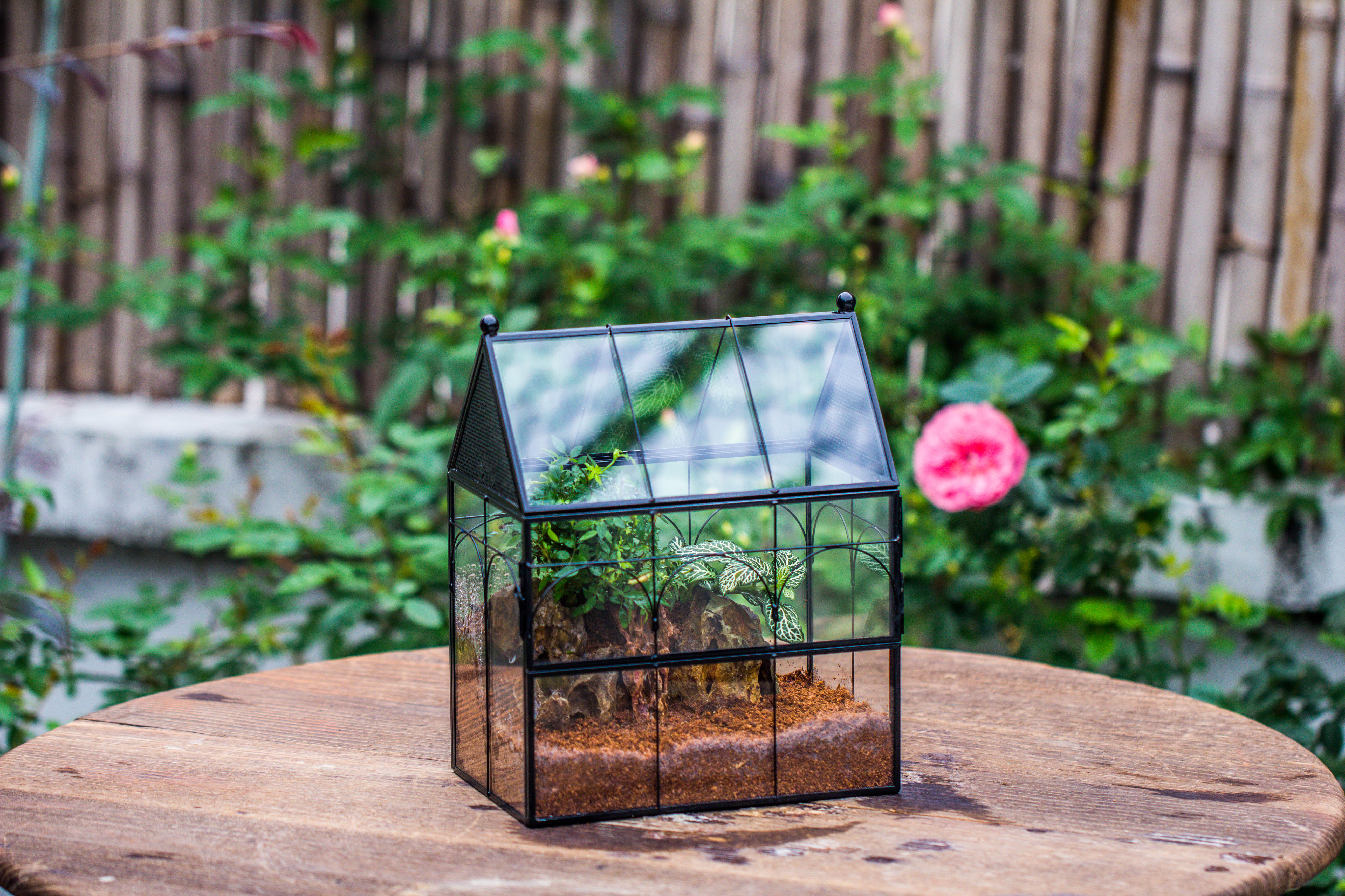 NCYP Vintage House Shape Tin and Glass Geometric Terrarium, with side door, with Mesh / vent holes for small Insects Pet - NCYPgarden