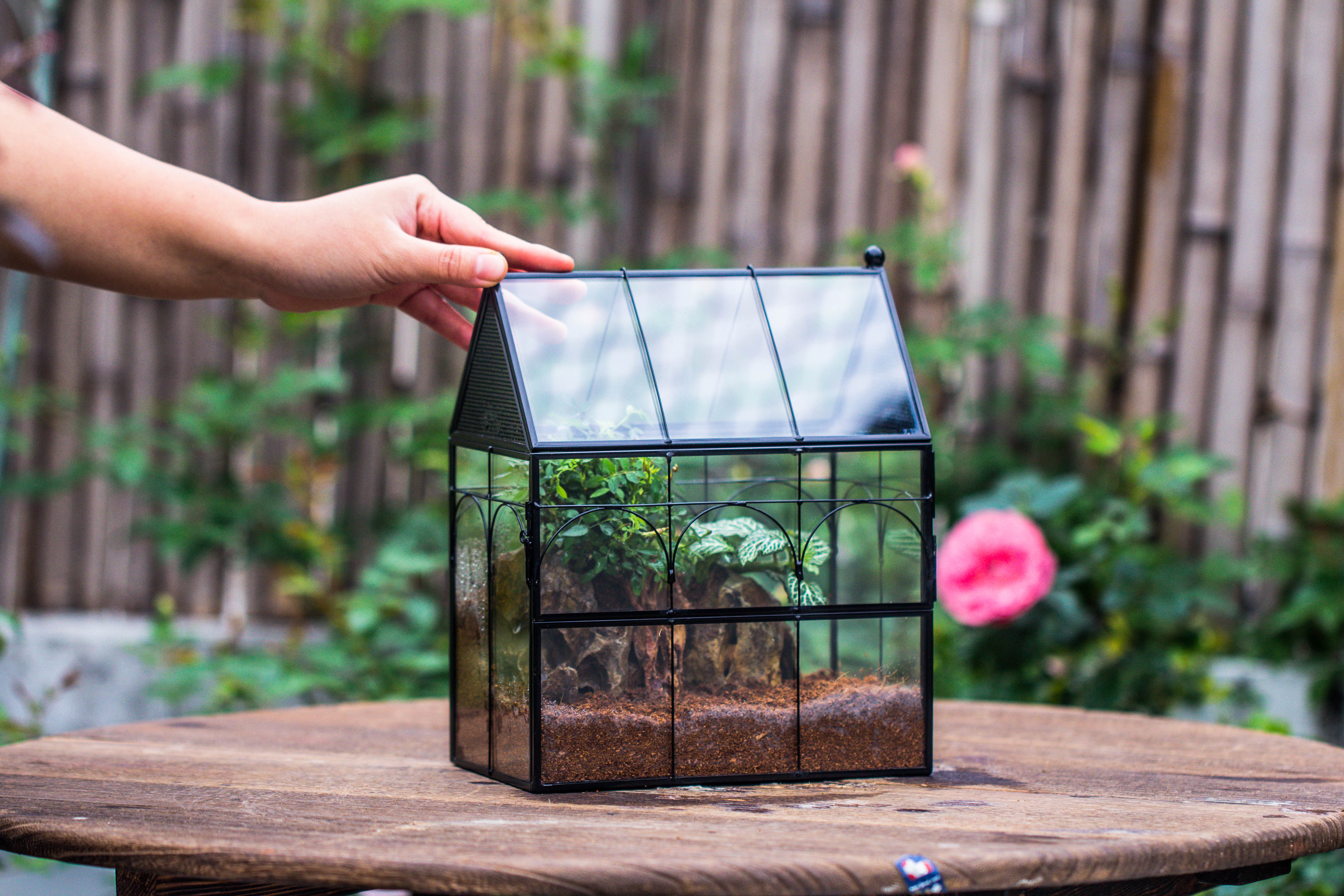 NCYP Vintage House Shape Tin and Glass Geometric Terrarium, with side door, with Mesh / vent holes for small Insects Pet - NCYPgarden