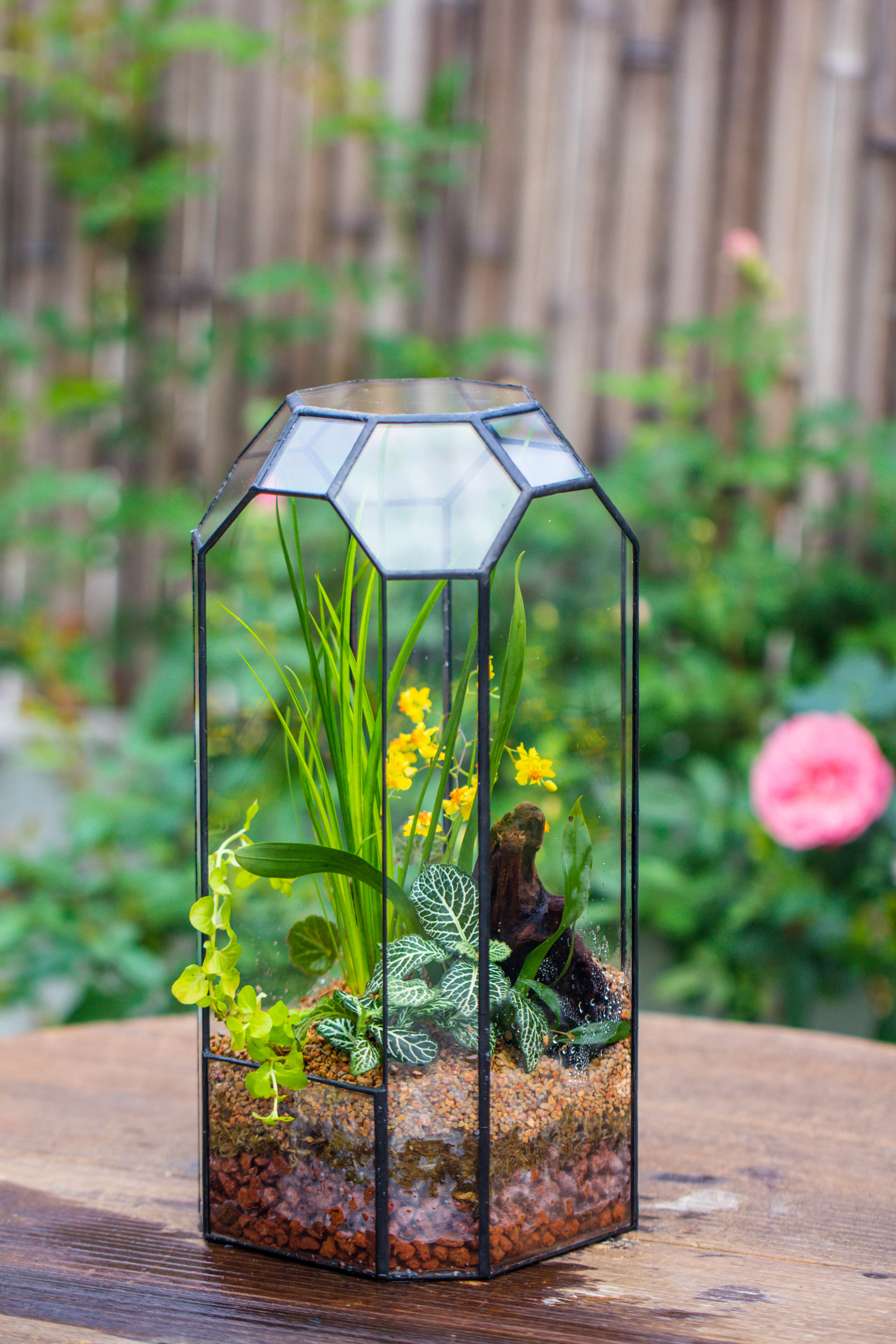 Vintage Tall Octagon Geometric Tin Glass Terrarium , 12.6" , open, suitable for tall plants, orchid, small begonia Pitcher, Micro landscape - NCYPgarden