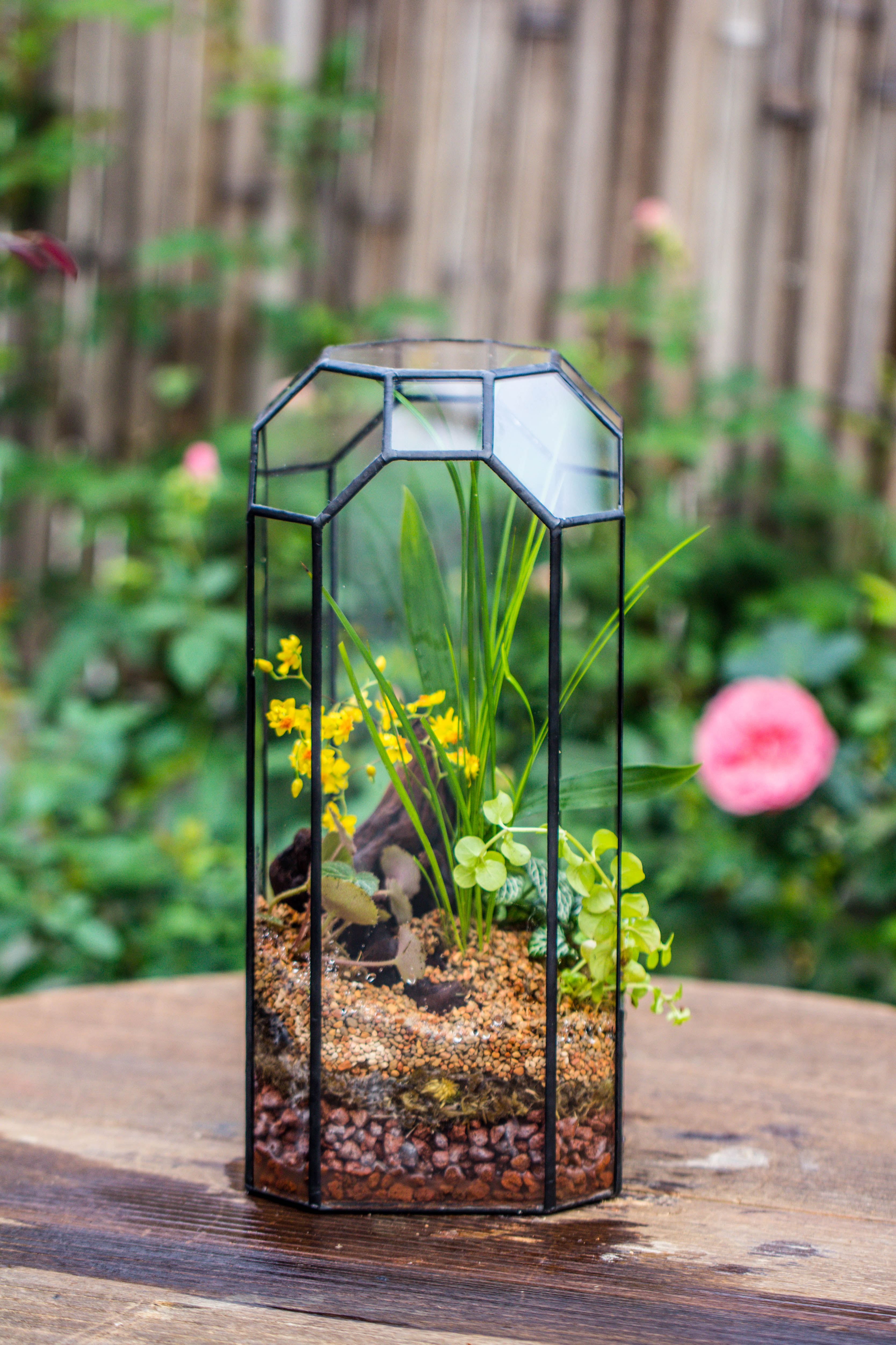 Vintage Tall Octagon Geometric Tin Glass Terrarium , 12.6" , open, suitable for tall plants, orchid, small begonia Pitcher, Micro landscape  -with white light set - NCYPgarden