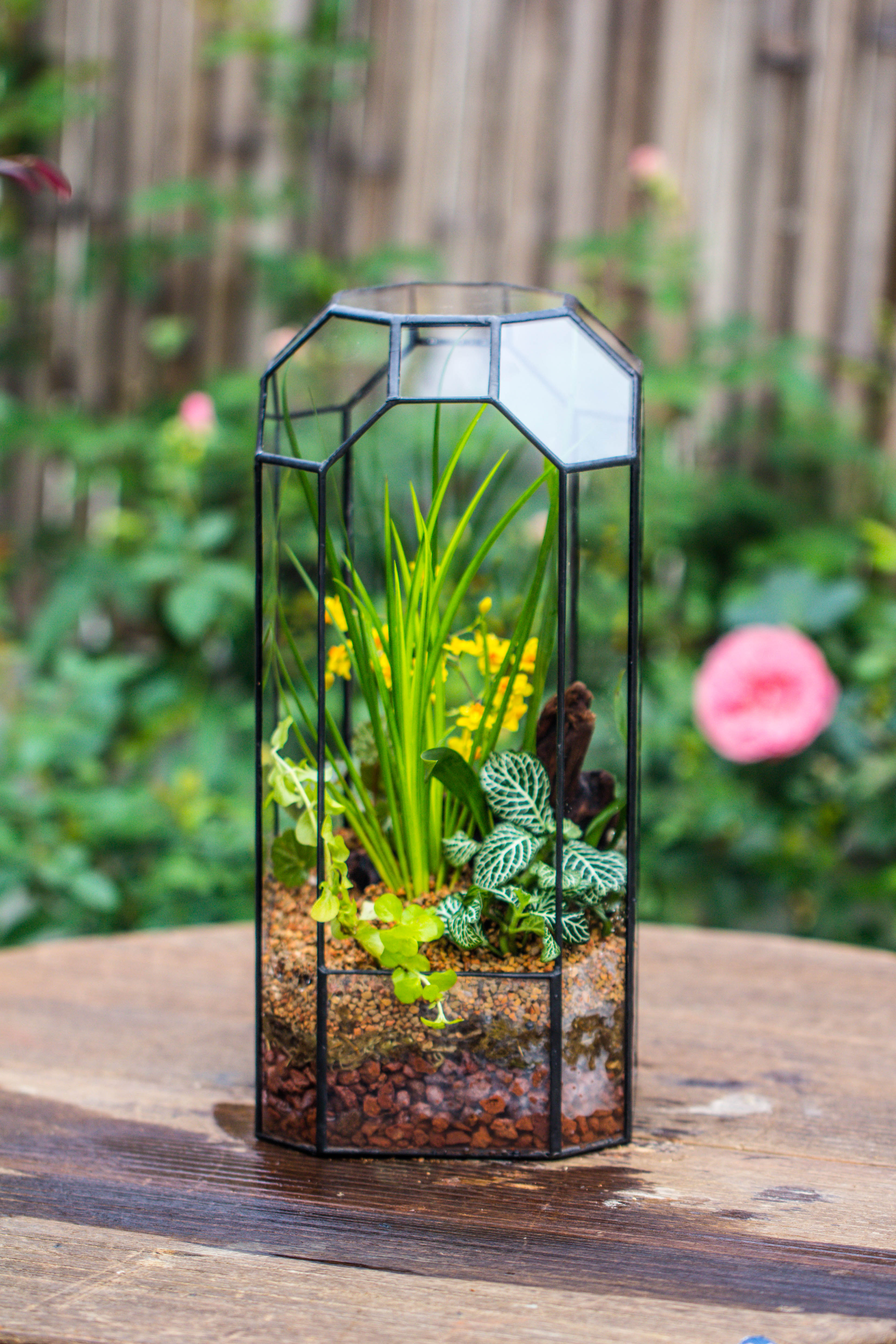 Vintage Tall Octagon Geometric Tin Glass Terrarium , 12.6" , open, suitable for tall plants, orchid, small begonia Pitcher, Micro landscape - NCYPgarden