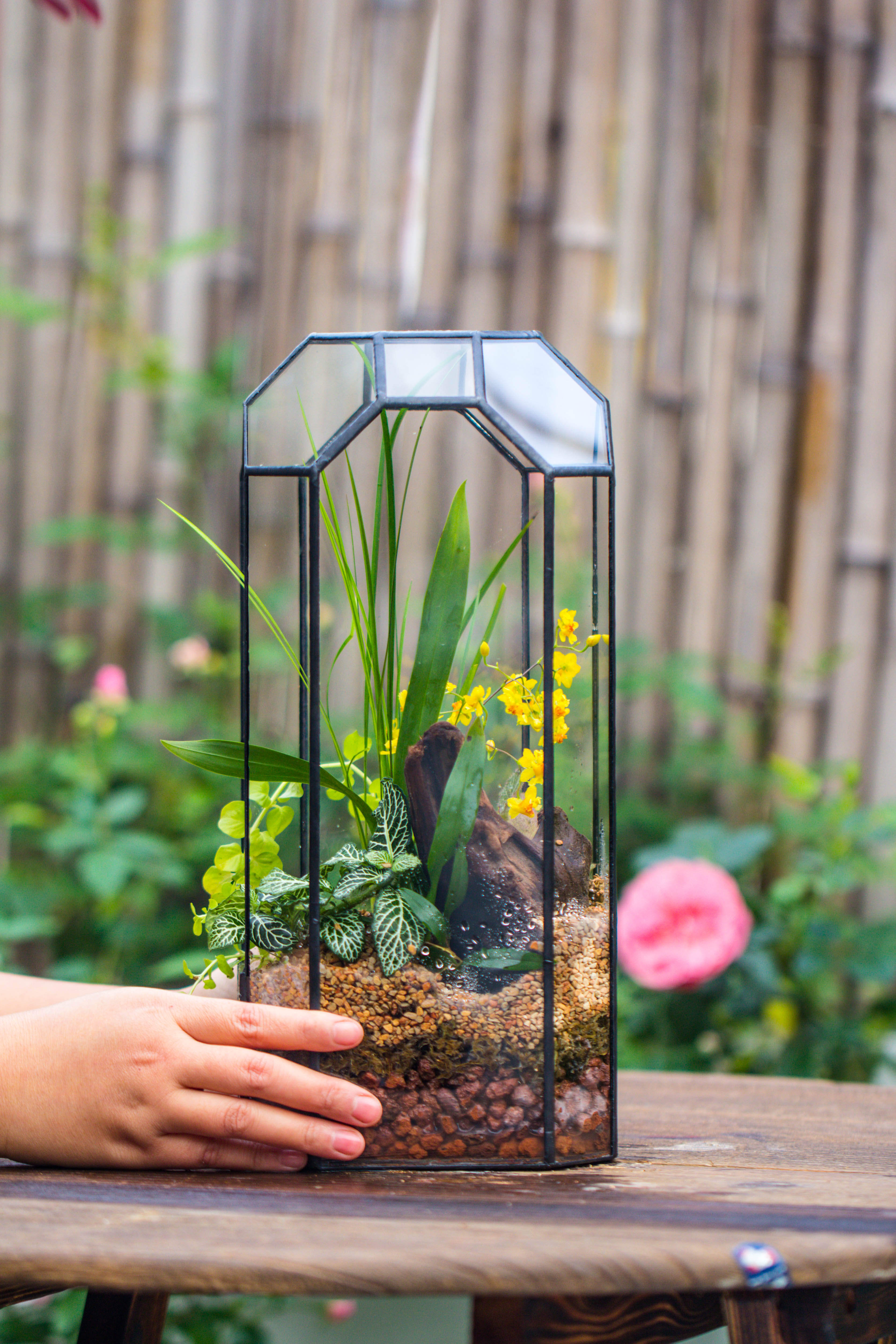 Vintage Tall Octagon Geometric Tin Glass Terrarium , 12.6" , open, suitable for tall plants, orchid, small begonia Pitcher, Micro landscape - NCYPgarden