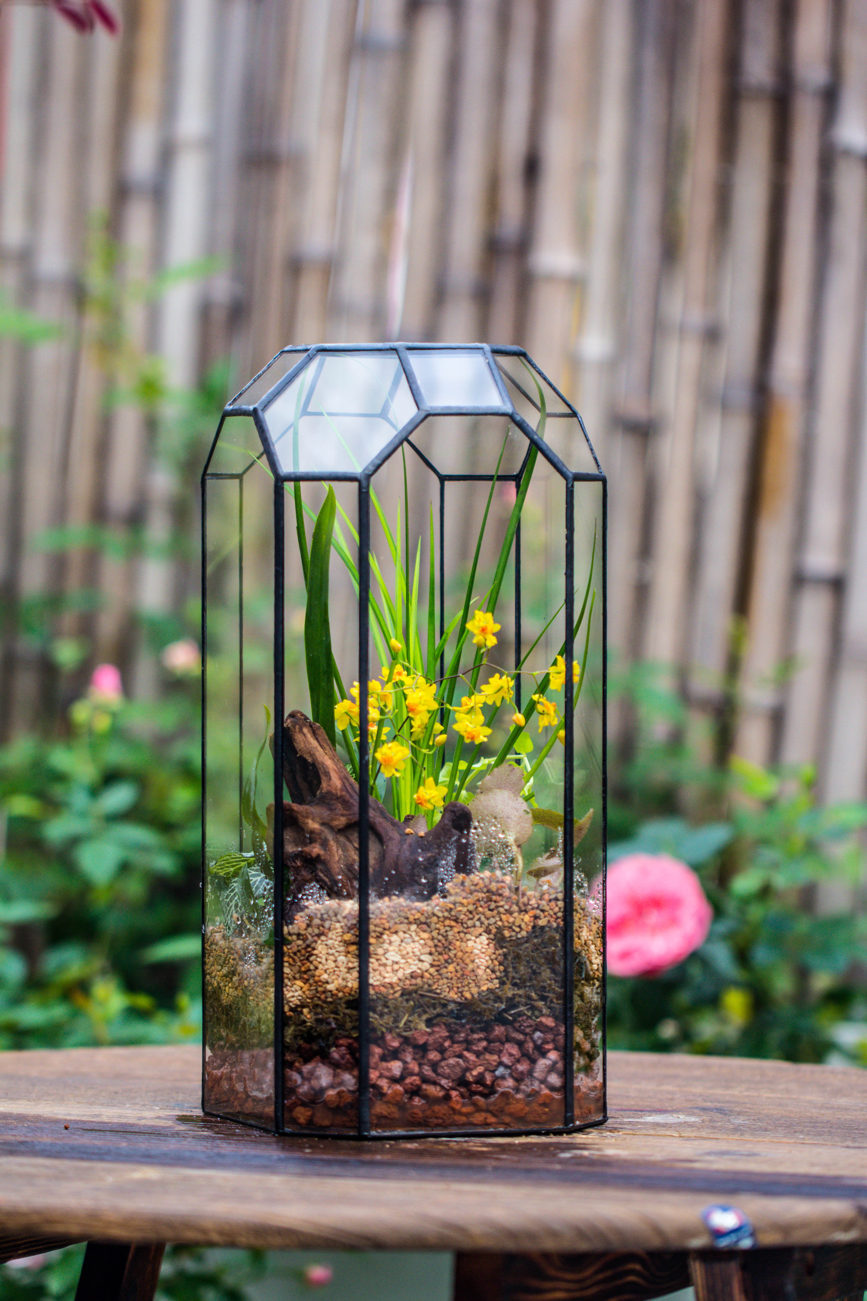 Vintage Tall Octagon Geometric Tin Glass Terrarium , 12.6" , open, suitable for tall plants, orchid, small begonia Pitcher, Micro landscape  -with white light set - NCYPgarden