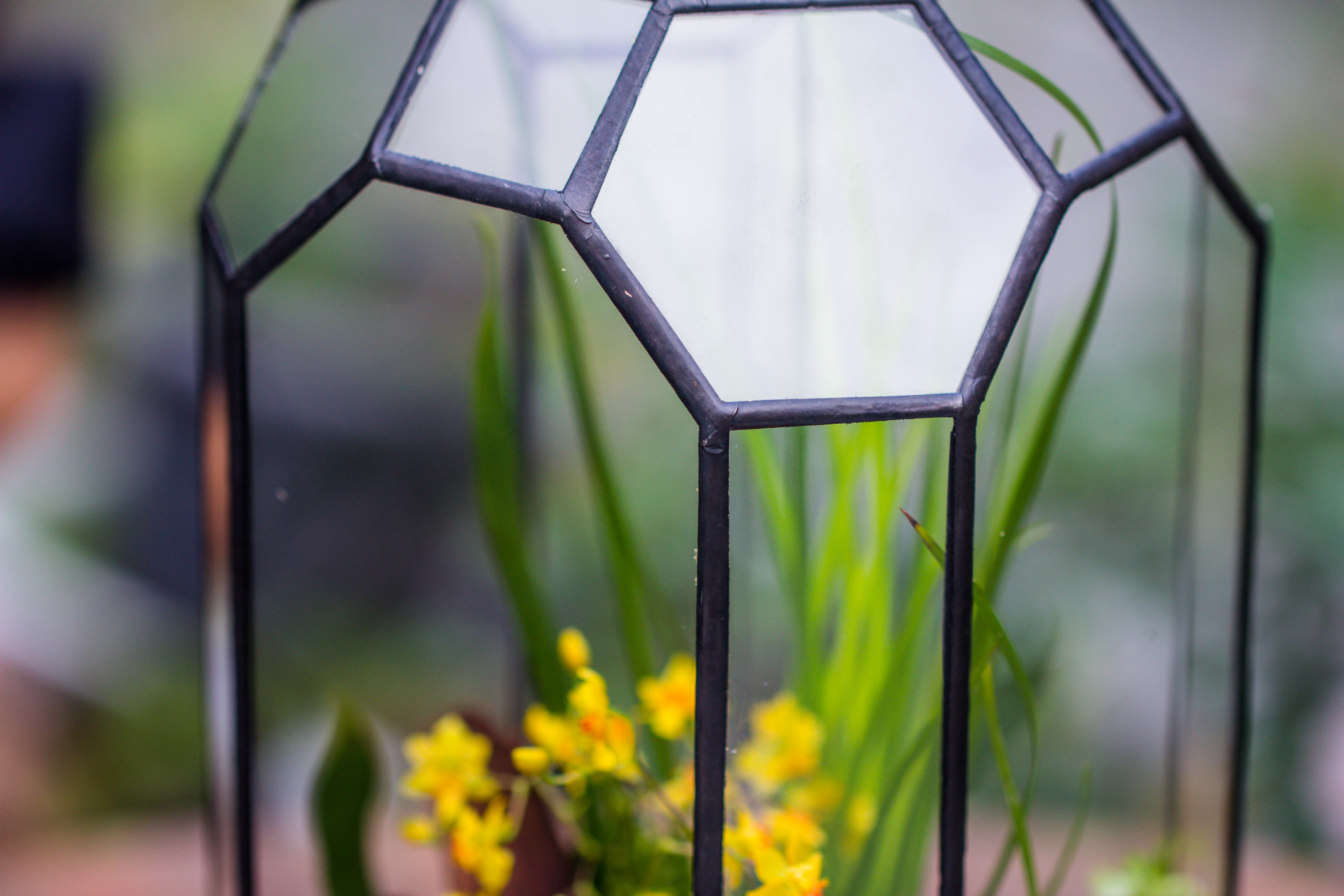 Vintage Tall Octagon Geometric Tin Glass Terrarium , 12.6" , open, suitable for tall plants, orchid, small begonia Pitcher, Micro landscape - NCYPgarden