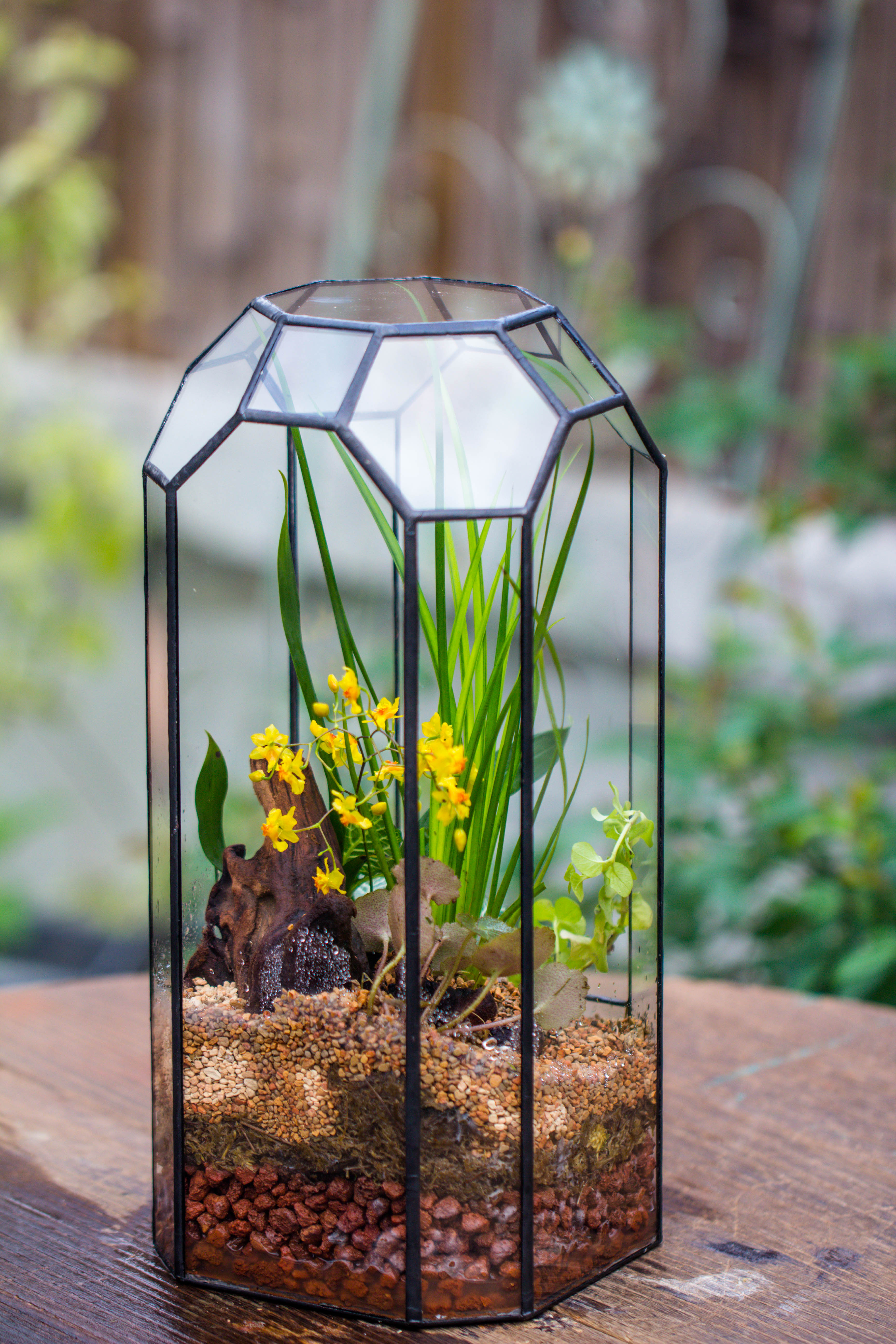 Vintage Tall Octagon Geometric Tin Glass Terrarium , 12.6" , open, suitable for tall plants, orchid, small begonia Pitcher, Micro landscape - NCYPgarden