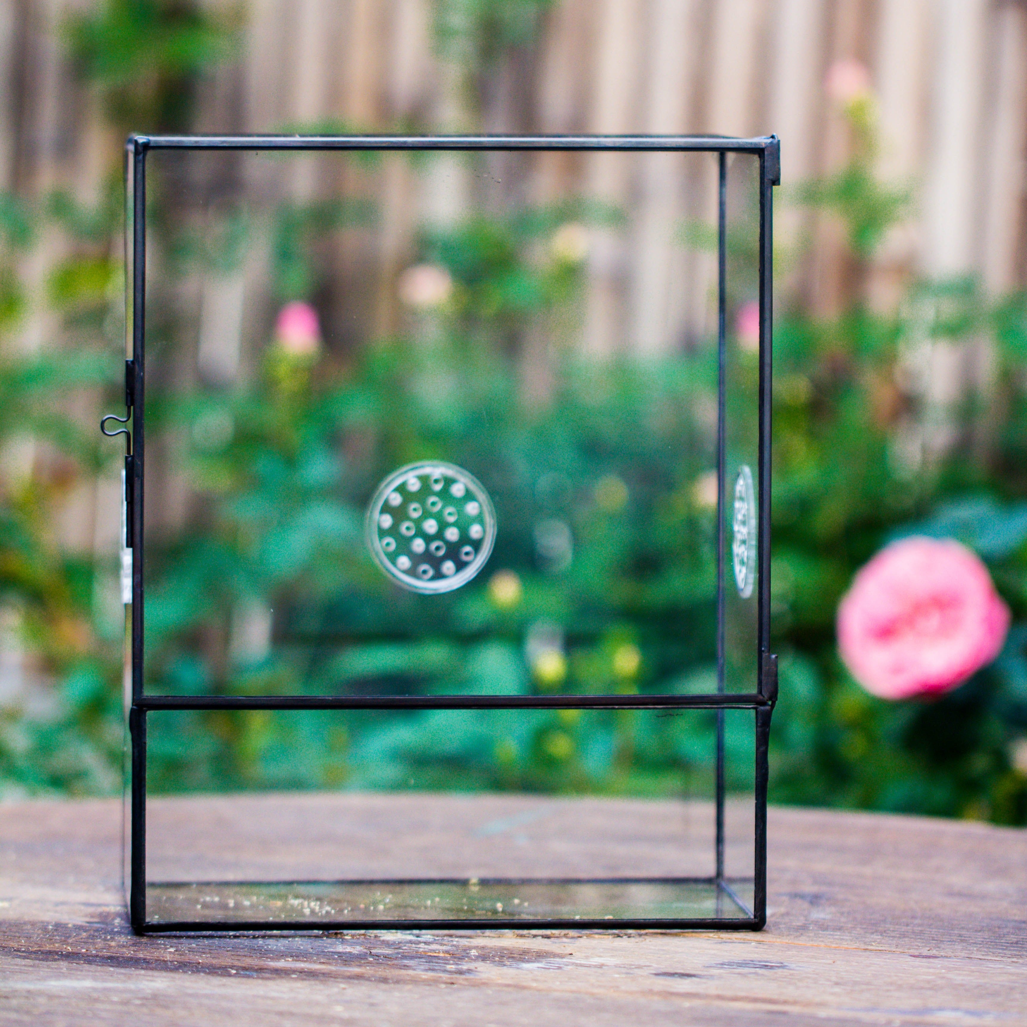 Close Geometric Glass Tin Terrarium with 3 Vents , 8x10" with side door, for insects, snail , spider, micro landscape - NCYPgarden