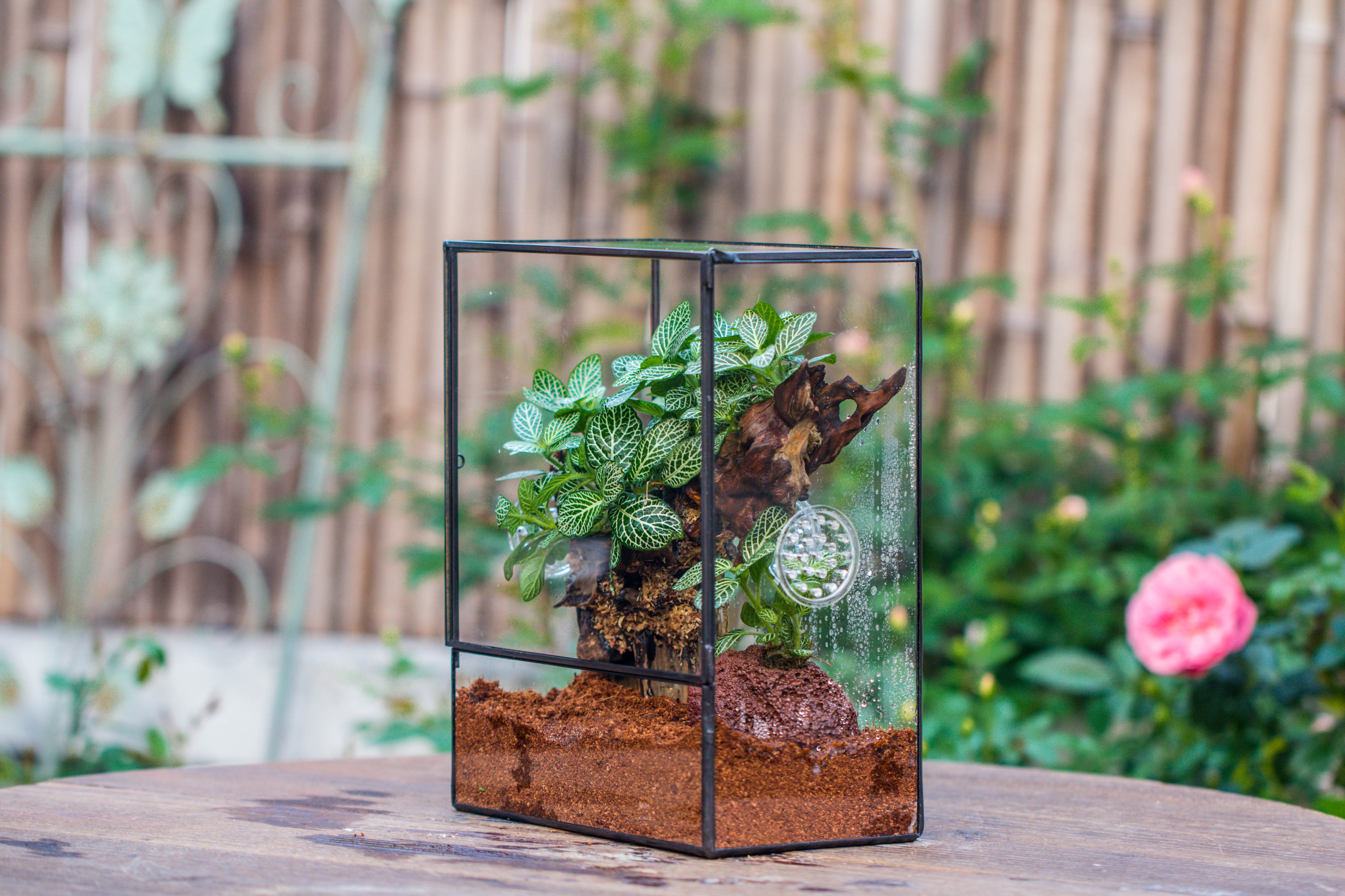 Close Geometric Glass Tin Terrarium with 3 Vents , 8x10" with side door, for insects, snail , spider, micro landscape - NCYPgarden