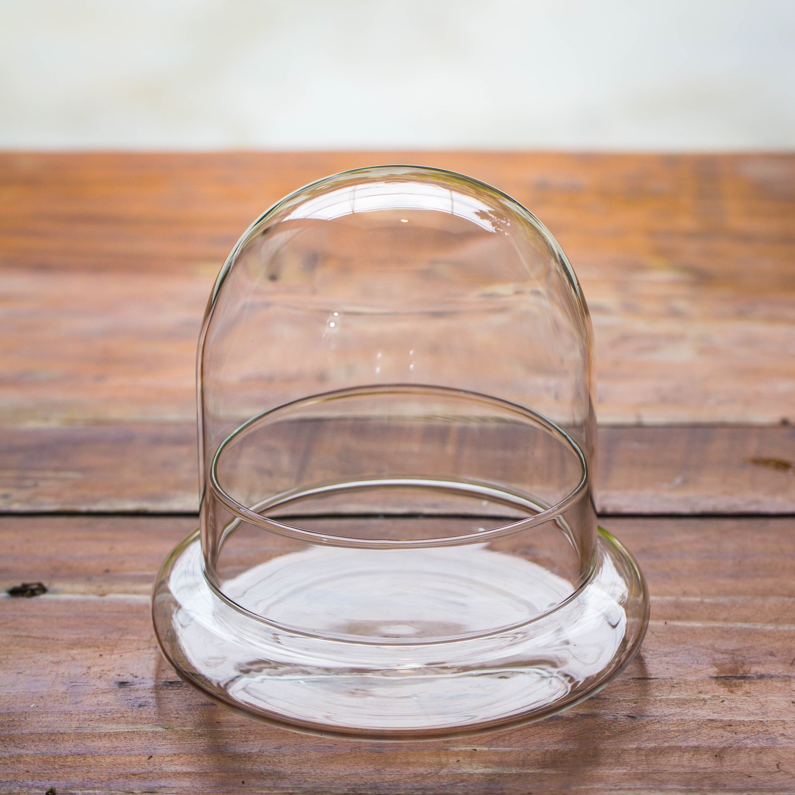 Round Glass Cloche terrarium 12 cm diameter x 12cm height with matching Warm White Spot LED grow Light and base set - NCYPgarden