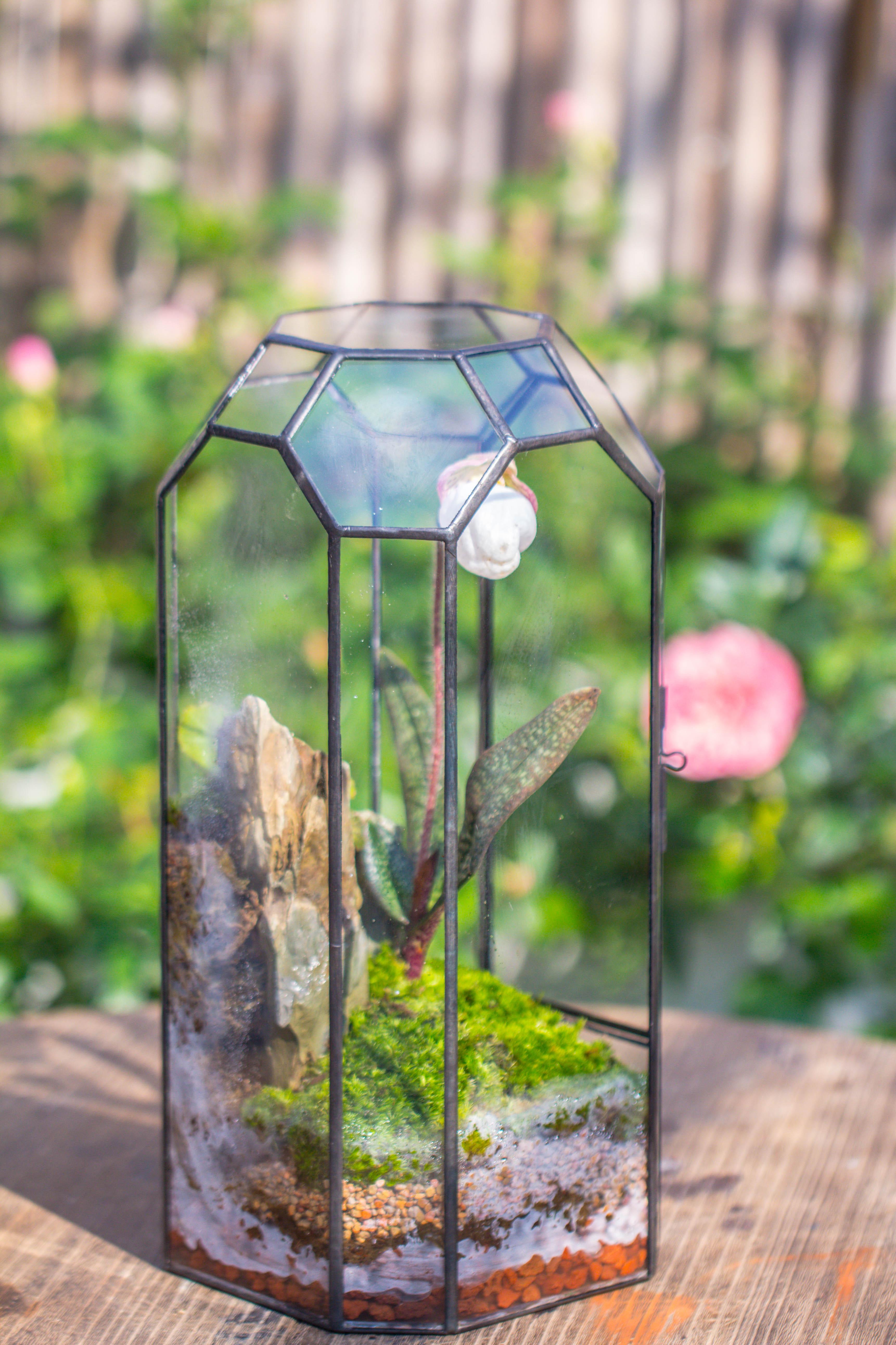 Vintage Tall Octagon Geometric Tin Glass Terrarium , 12.6" , close, suitable for tall plants, orchid, small begonia Pitcher, Micro landscape - NCYPgarden