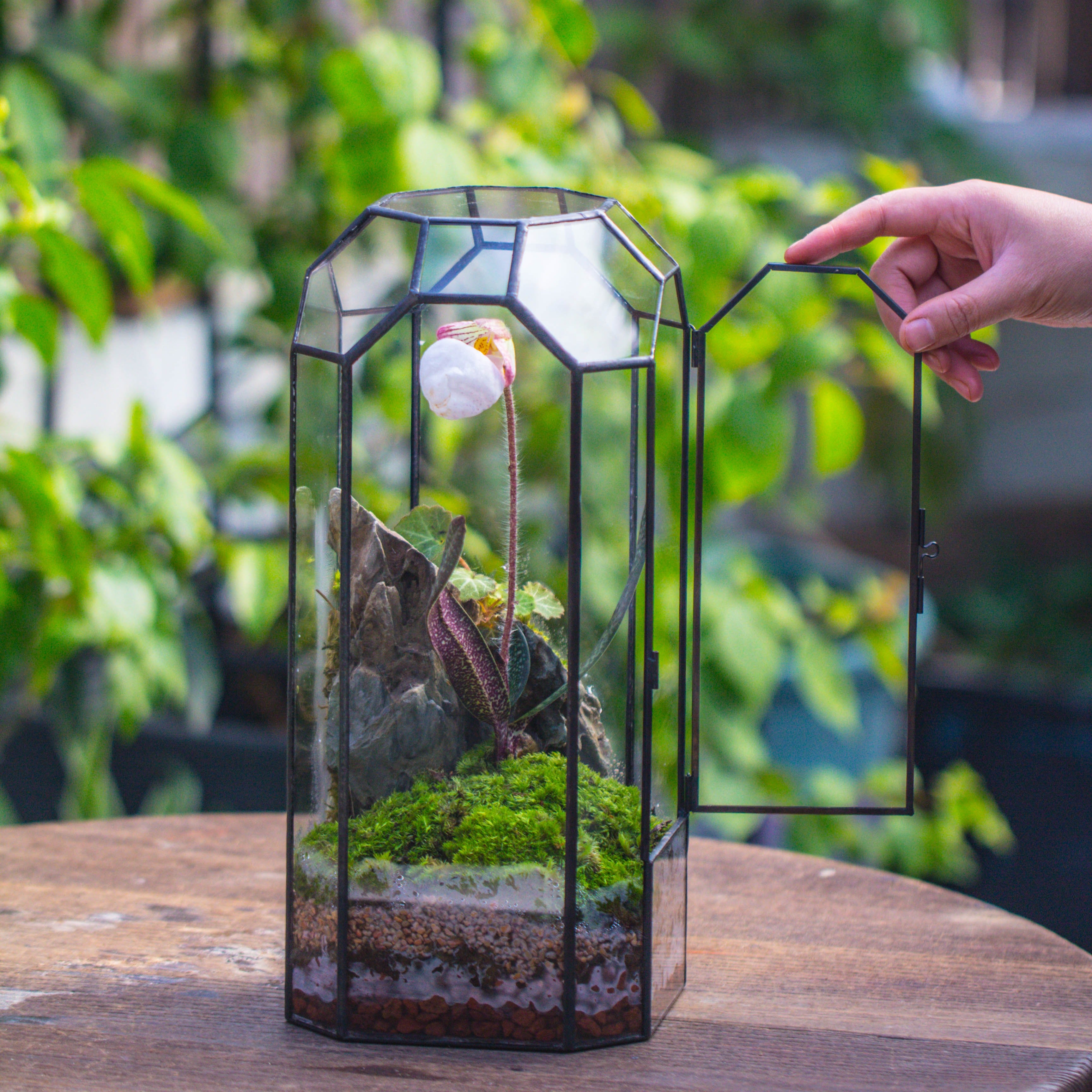 Vintage Tall Octagon Geometric Tin Glass Terrarium , 12.6" , close, suitable for tall plants, orchid, small begonia Pitcher, Micro landscape - NCYPgarden