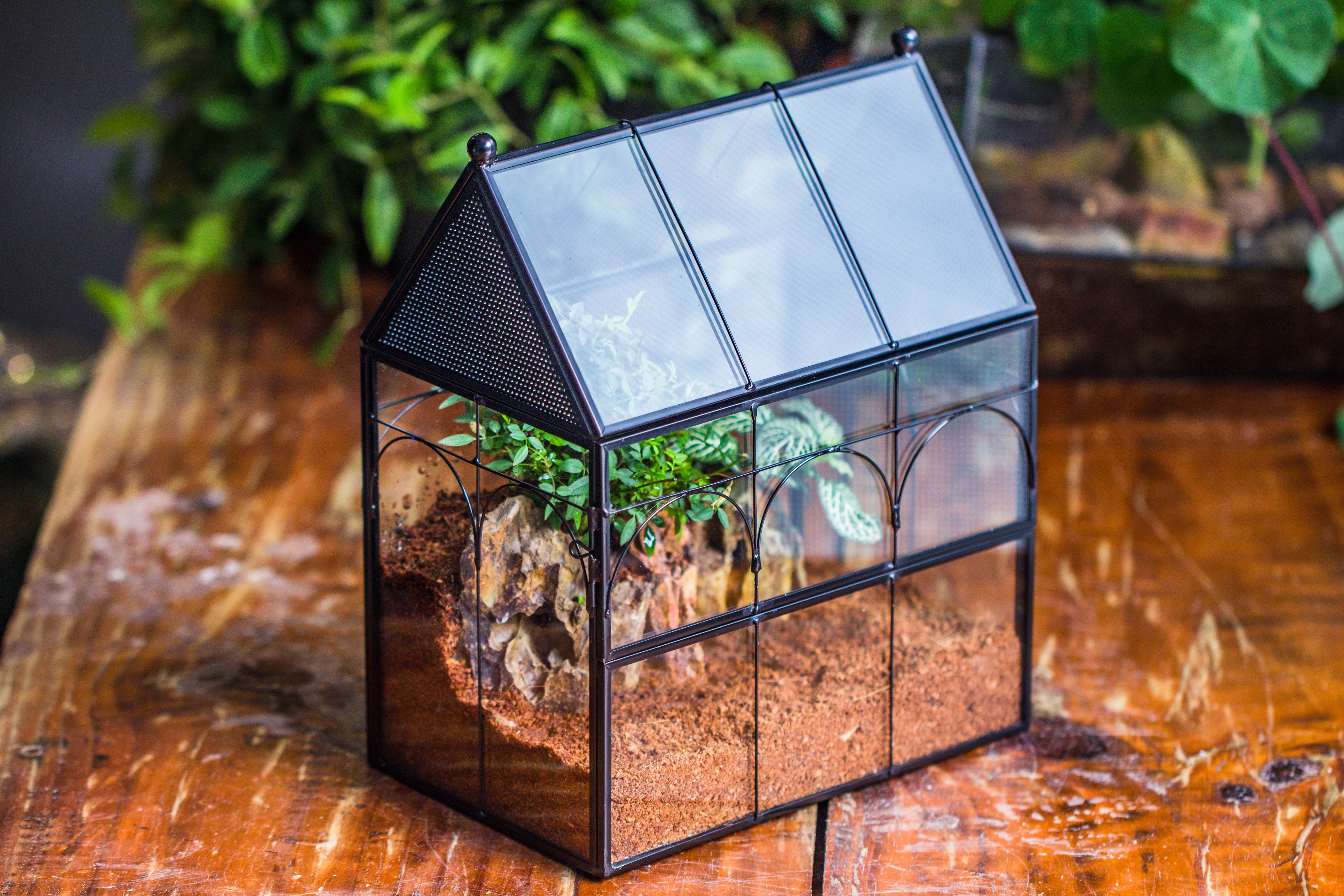 NCYP Vintage House Shape Tin and Glass Geometric Terrarium, with side door, with Mesh / vent holes for small Insects Pet - NCYPgarden