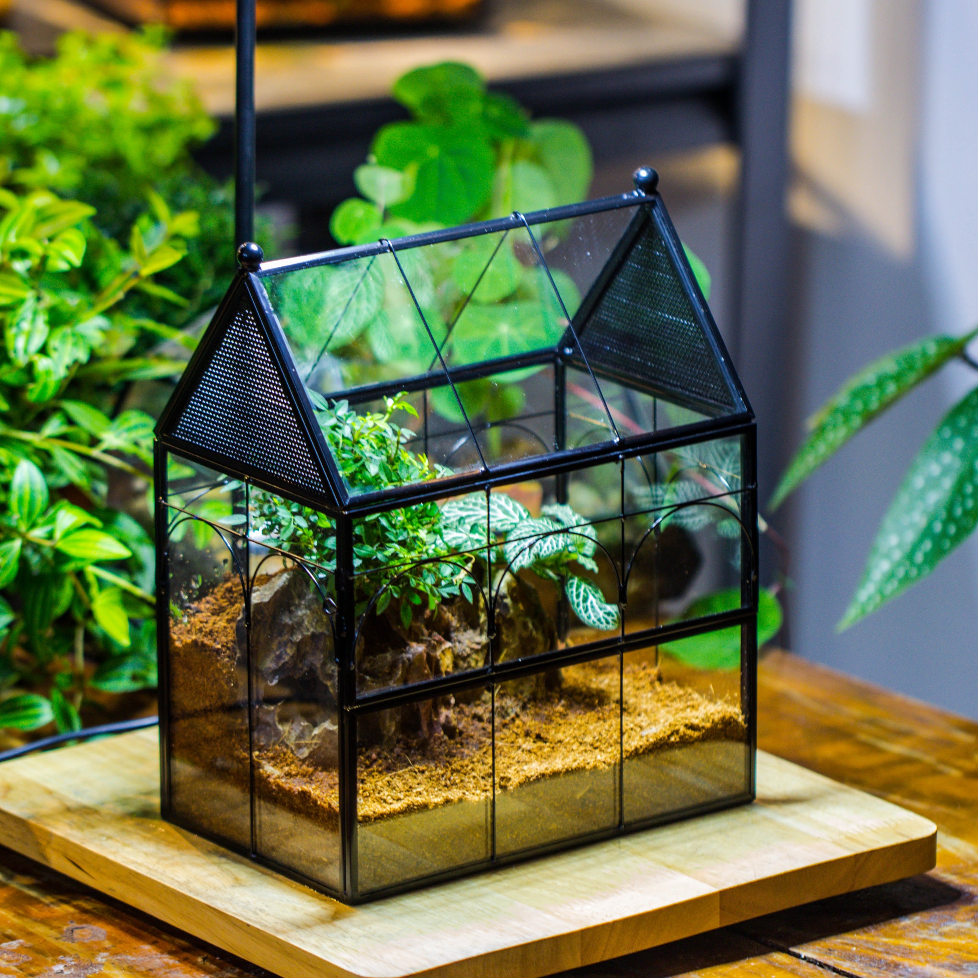 NCYP Vintage House Shape Tin and Glass Geometric Terrarium, with side door, with Mesh / vent holes for small Insects Pet - NCYPgarden