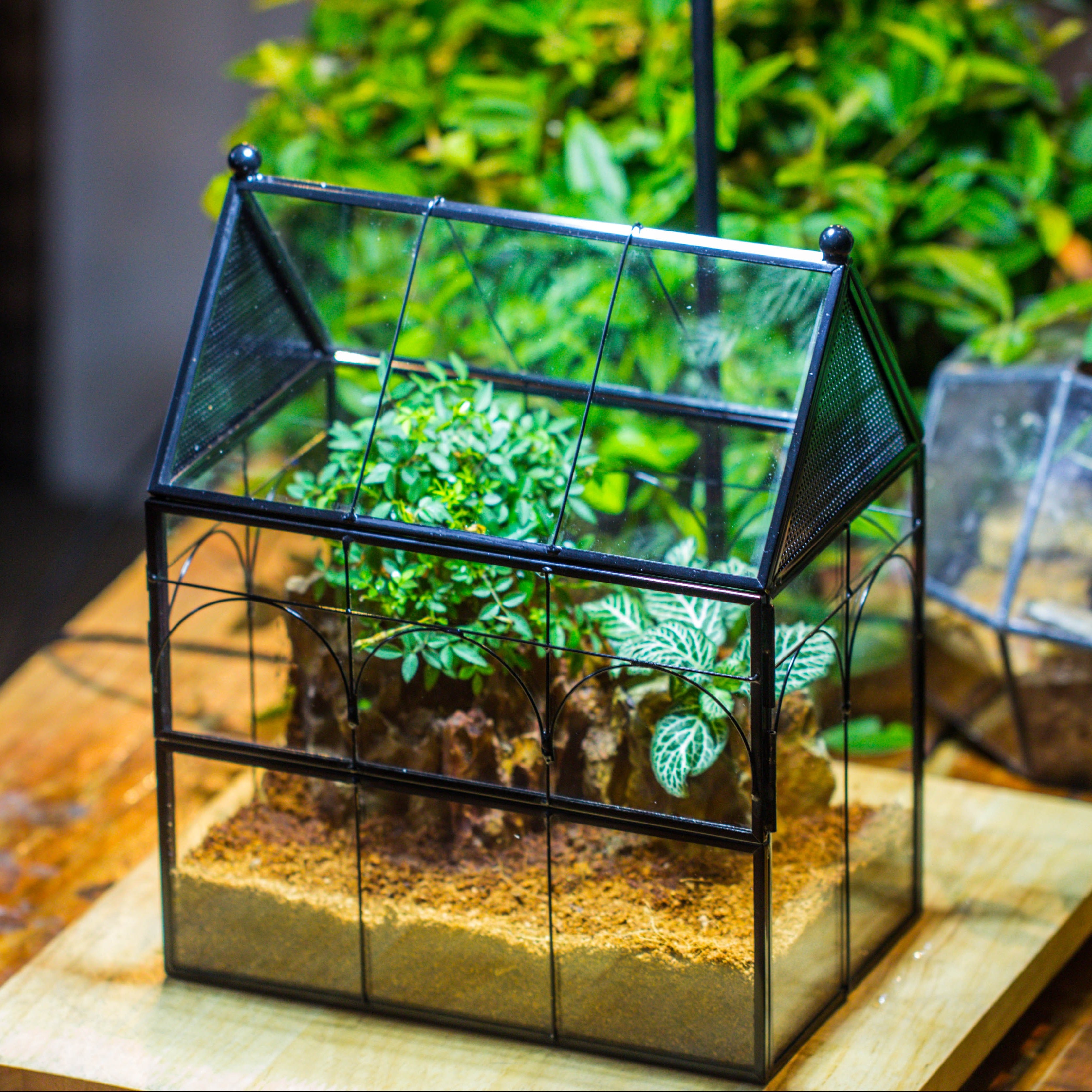 Handmade Terrarium with Light, House Shape Glass Geometric Terrarium with LED Light Set, Wooden Base, Jumping Spider Terrarium,Gift for Dad - NCYPgarden