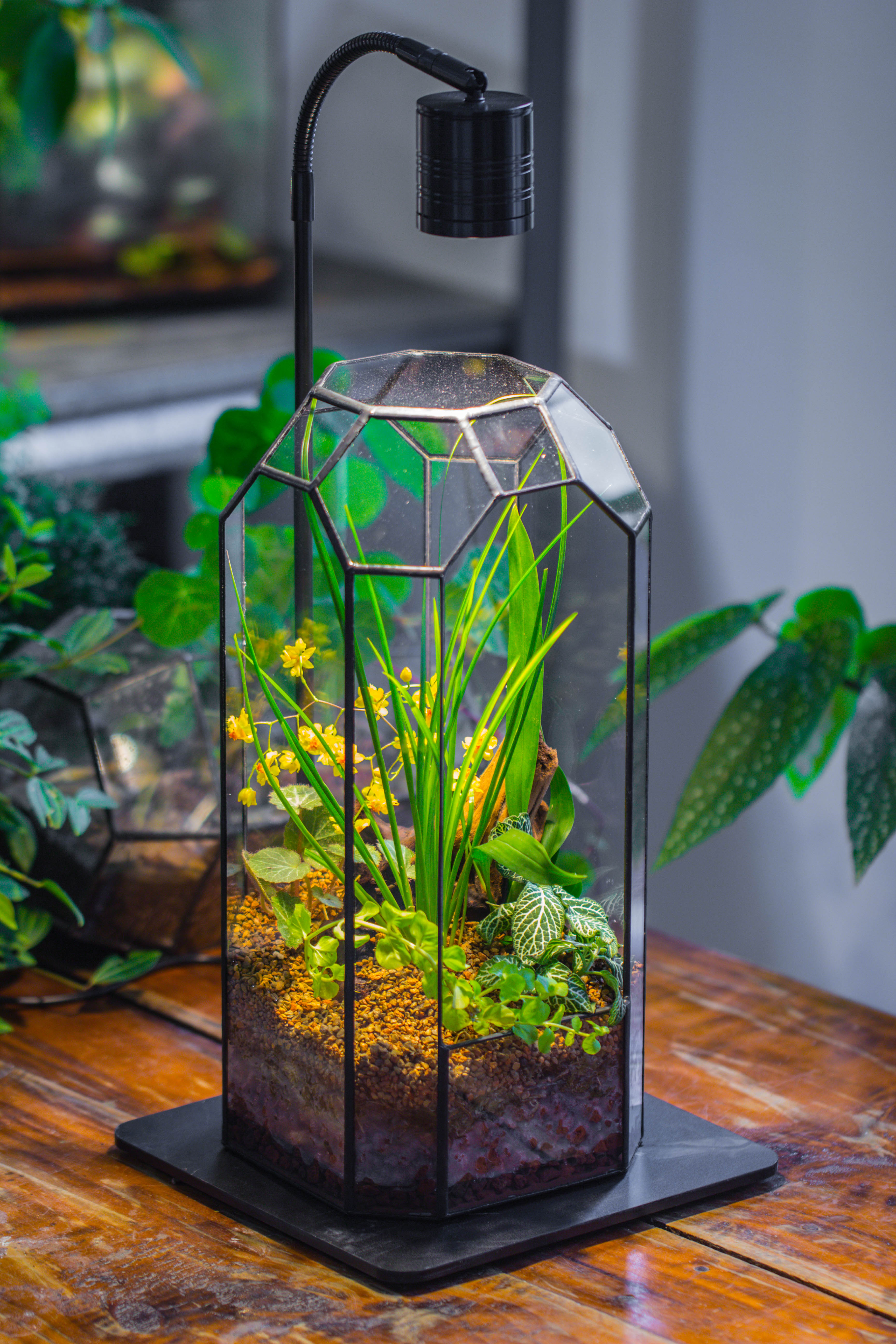 Vintage Tall Octagon Geometric Tin Glass Terrarium , 12.6" , open, suitable for tall plants, orchid, small begonia Pitcher, Micro landscape - NCYPgarden