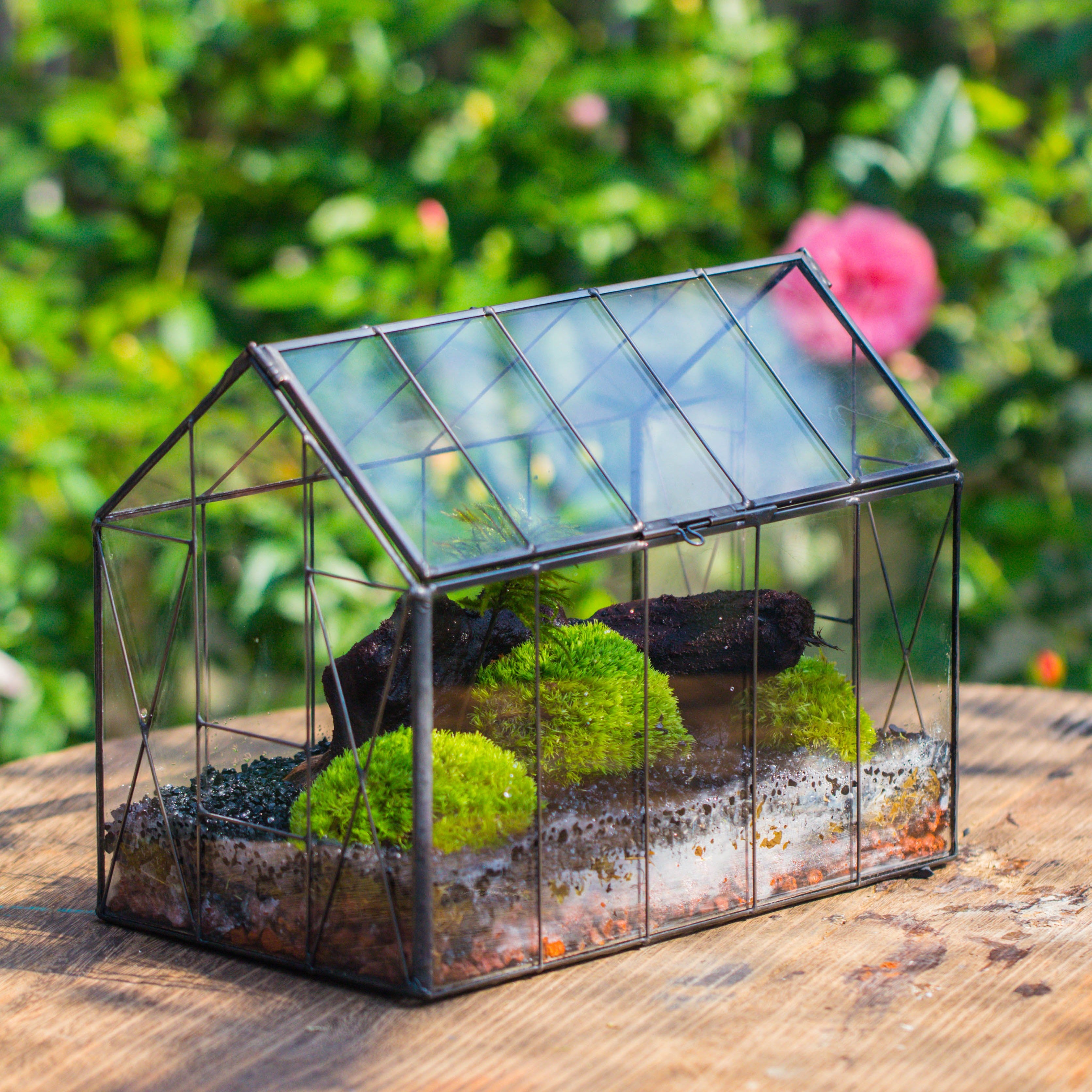 Vintge Greenhouse inspired tin and glass geometric terrarium Terarium, Close, for moss, fern, shade plants, micro landscape - NCYPgarden