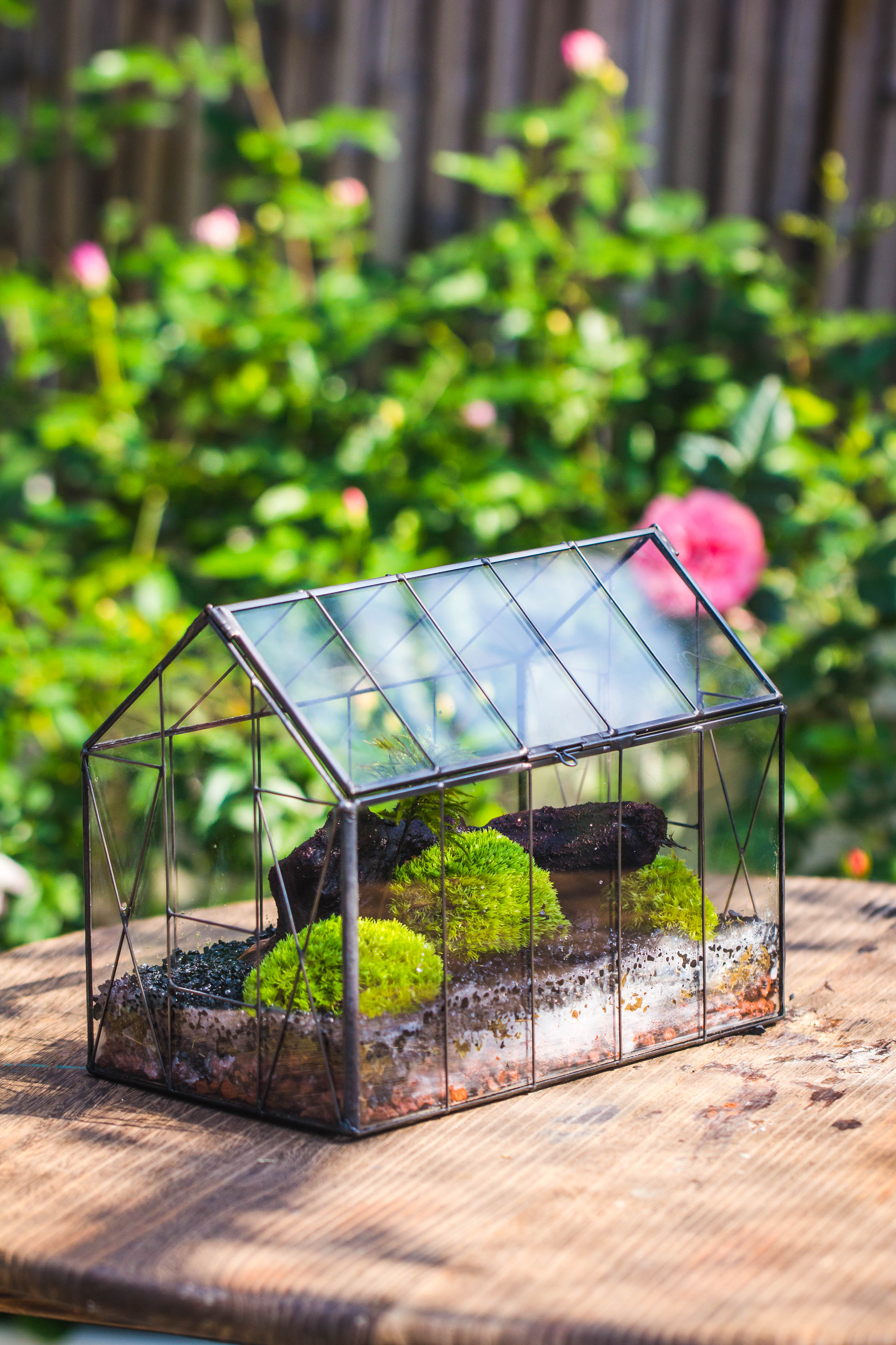 Vintge Greenhouse inspired tin and glass geometric terrarium Terarium, Close, for moss, fern, shade plants, micro landscape - NCYPgarden