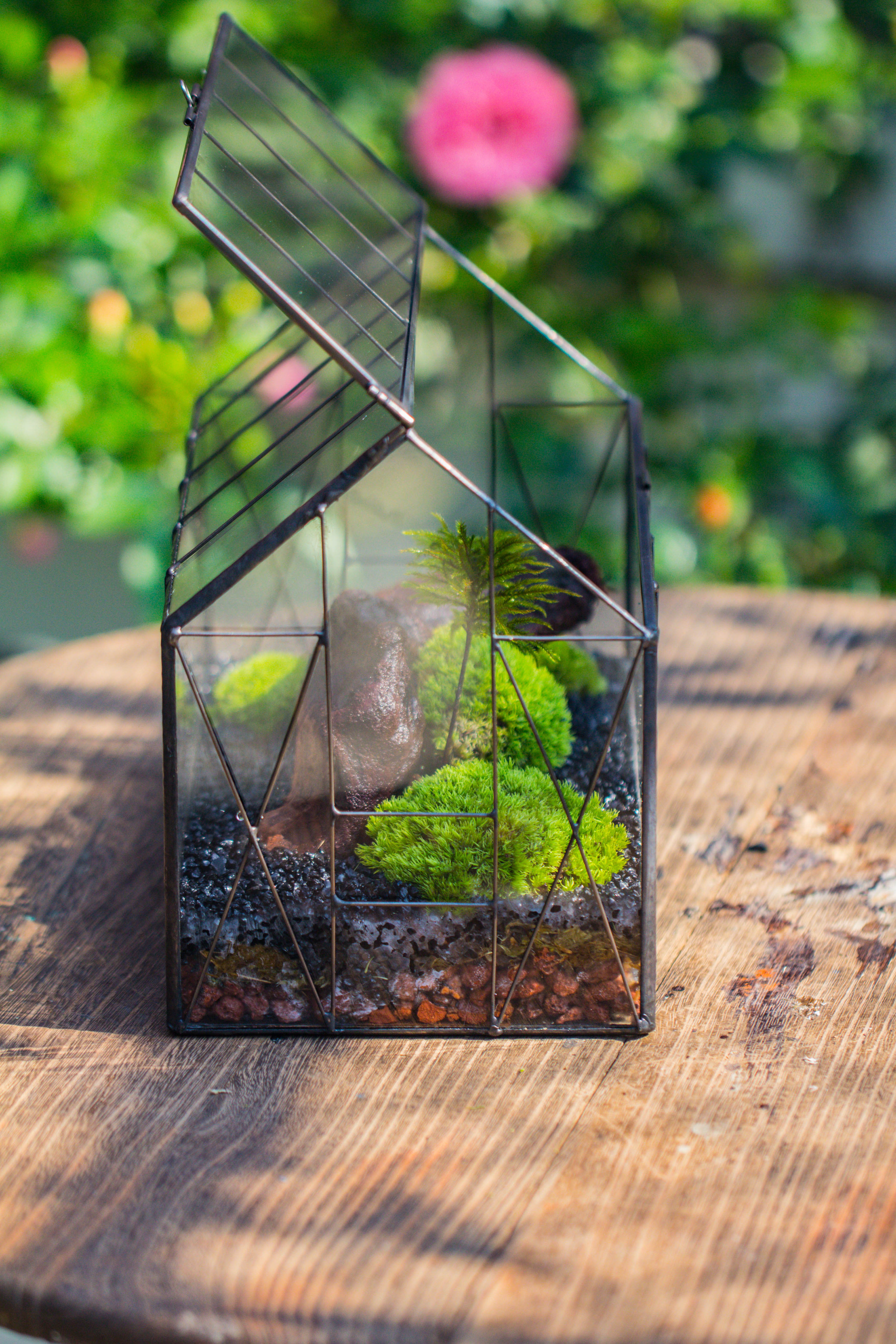 Vintge Greenhouse inspired tin and glass geometric terrarium Terarium, Close, for moss, fern, shade plants, micro landscape - NCYPgarden