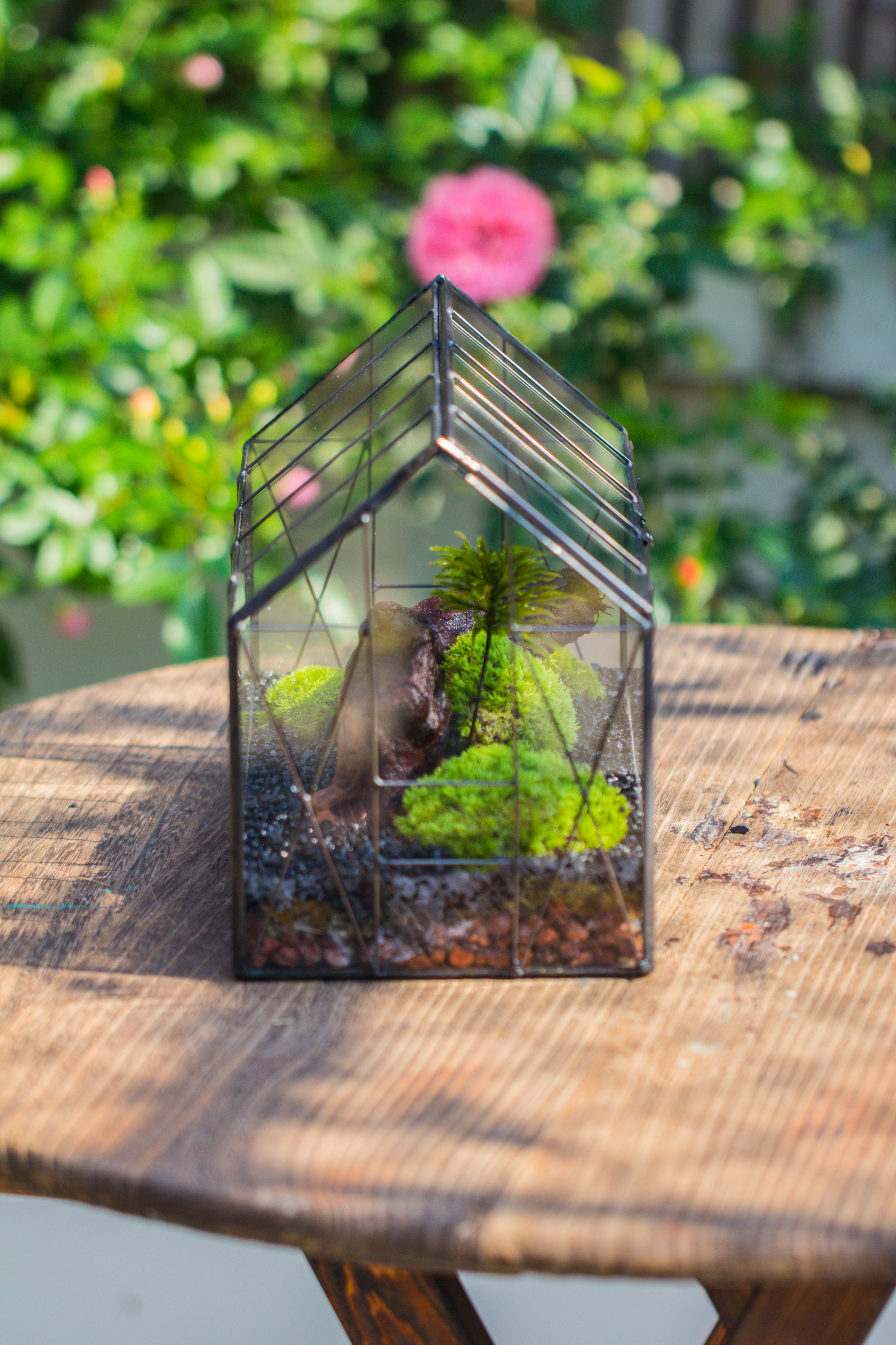 Vintge Greenhouse inspired tin and glass geometric terrarium Terarium, Close, for moss, fern, shade plants, micro landscape - NCYPgarden