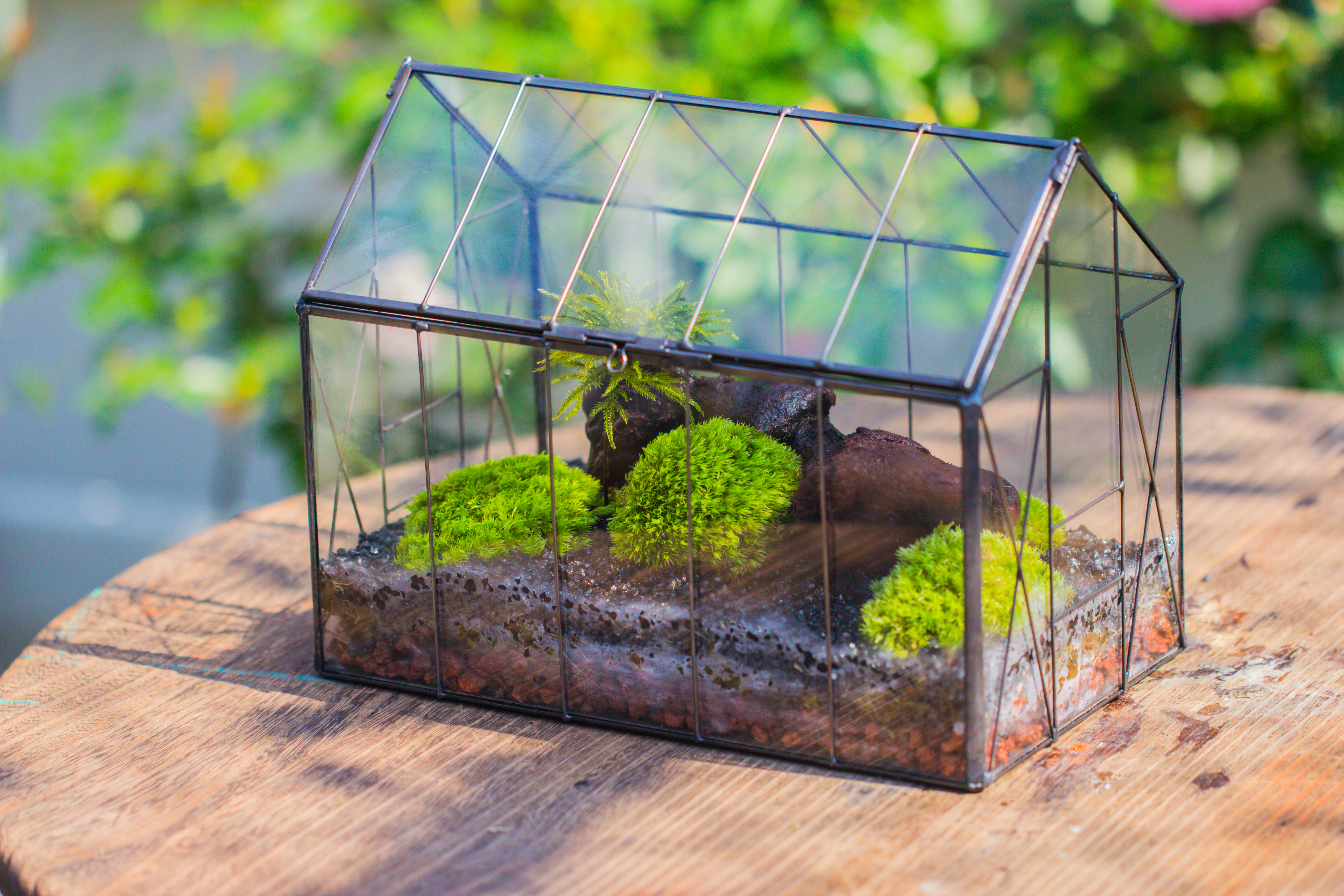 Vintge Greenhouse inspired tin and glass geometric terrarium Terarium, Close, for moss, fern, shade plants, micro landscape - NCYPgarden