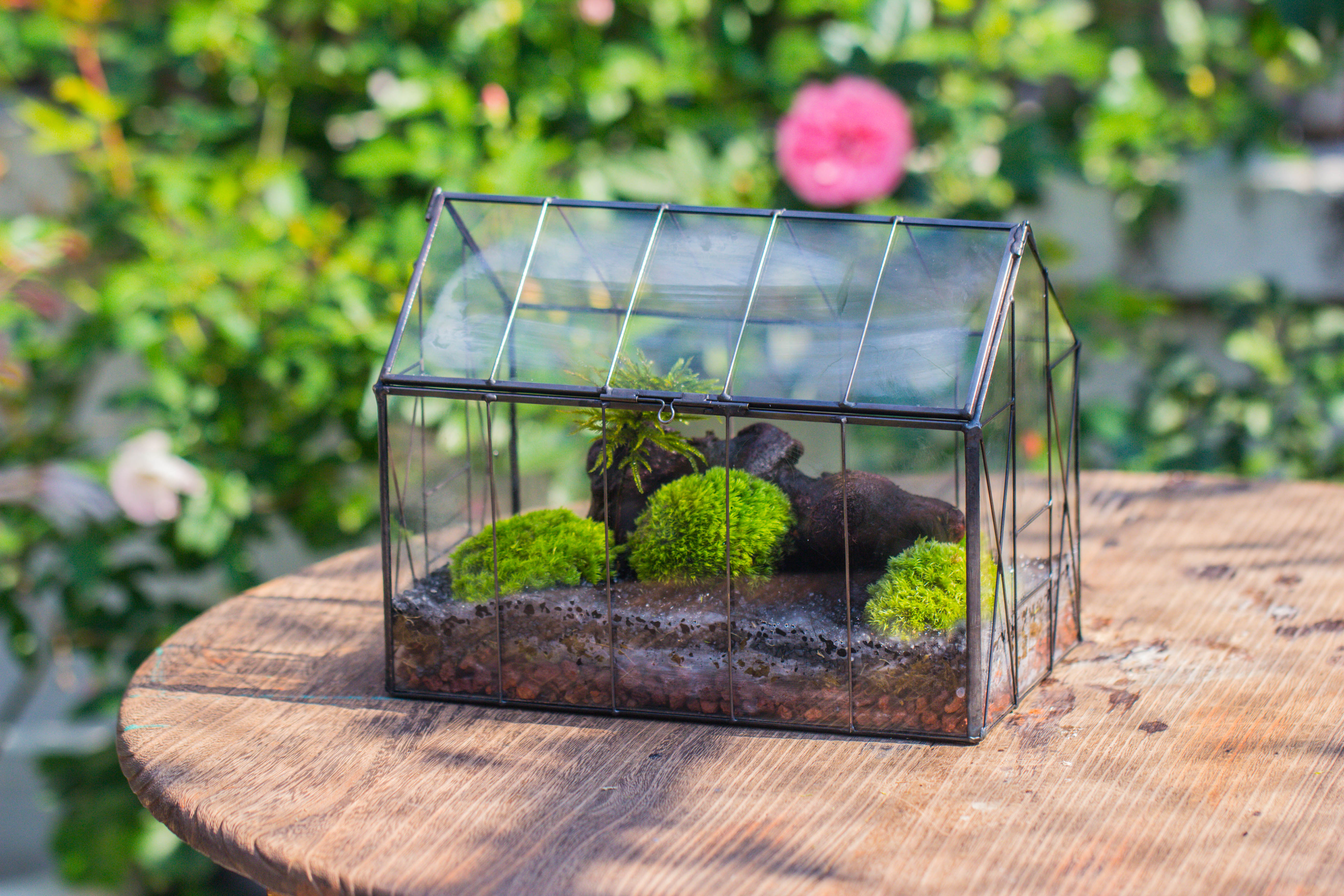 Vintge Greenhouse inspired tin and glass geometric terrarium Terarium, Close, for moss, fern, shade plants, micro landscape - NCYPgarden