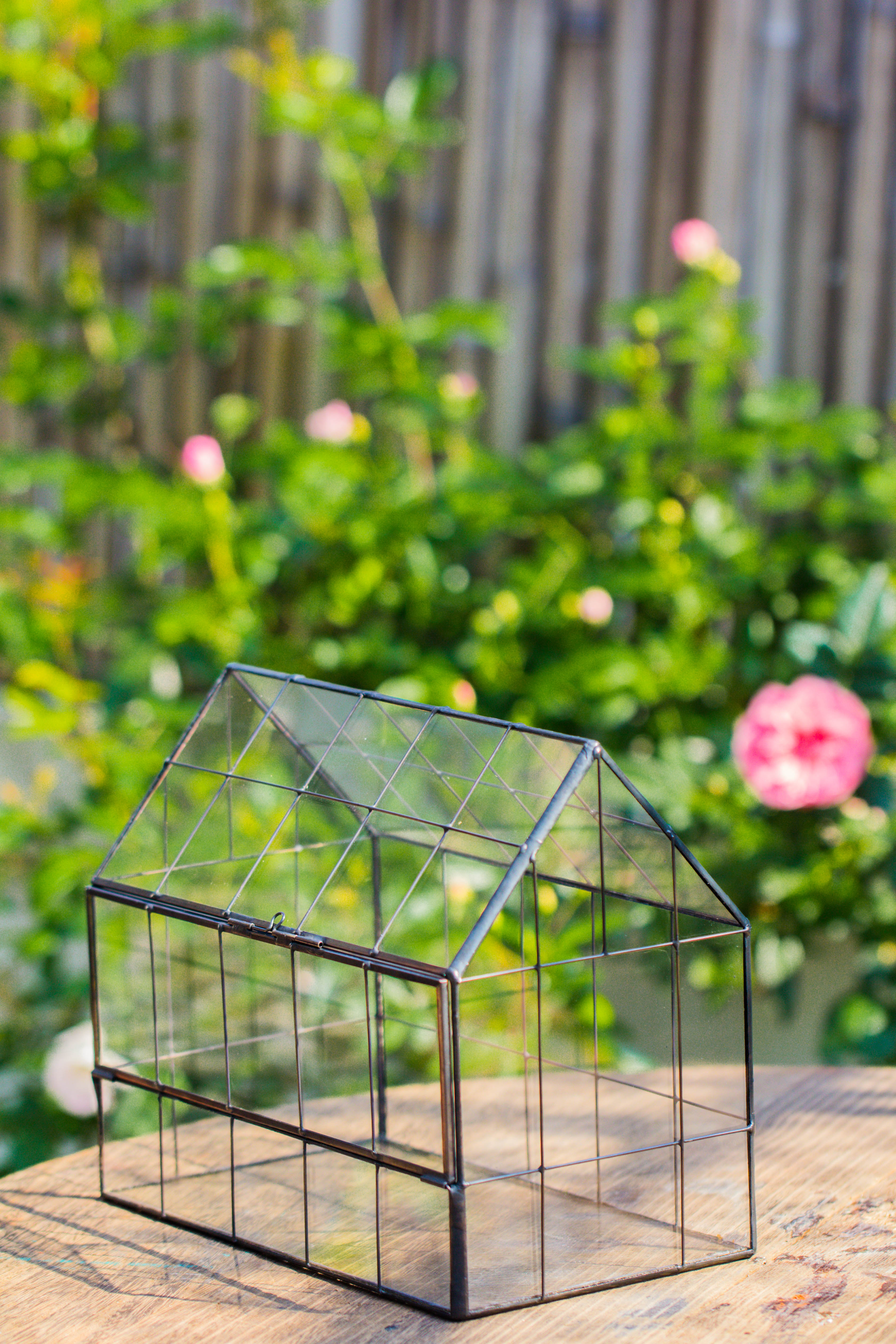 Vintge Greenhouse inspired tin and glass geometric Terarium, side door, Close, for moss, fern, shade plants, micro landscape - NCYPgarden