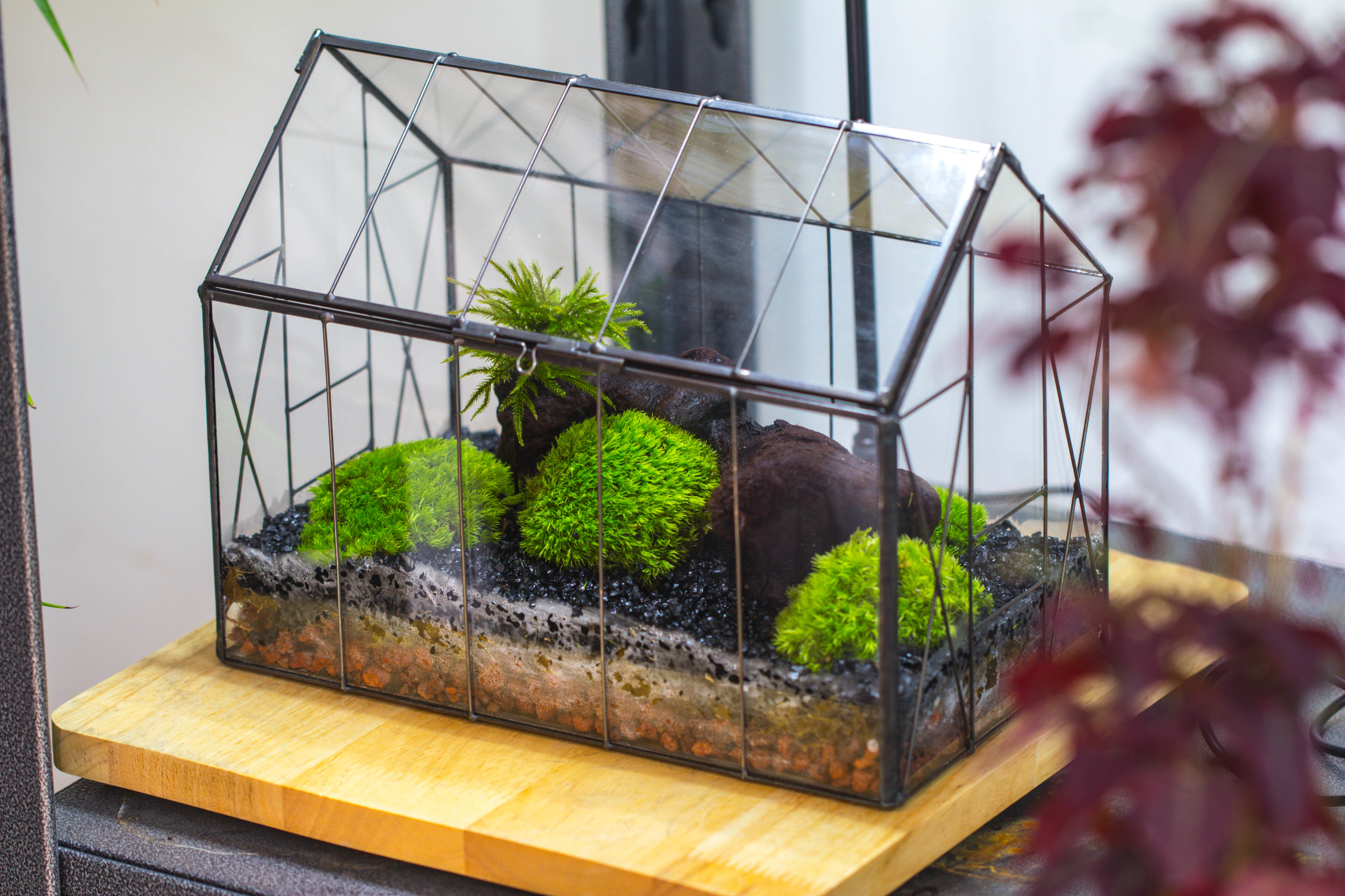 Vintge Greenhouse inspired tin and glass geometric terrarium Terarium, Close, for moss, fern, shade plants, micro landscape - NCYPgarden