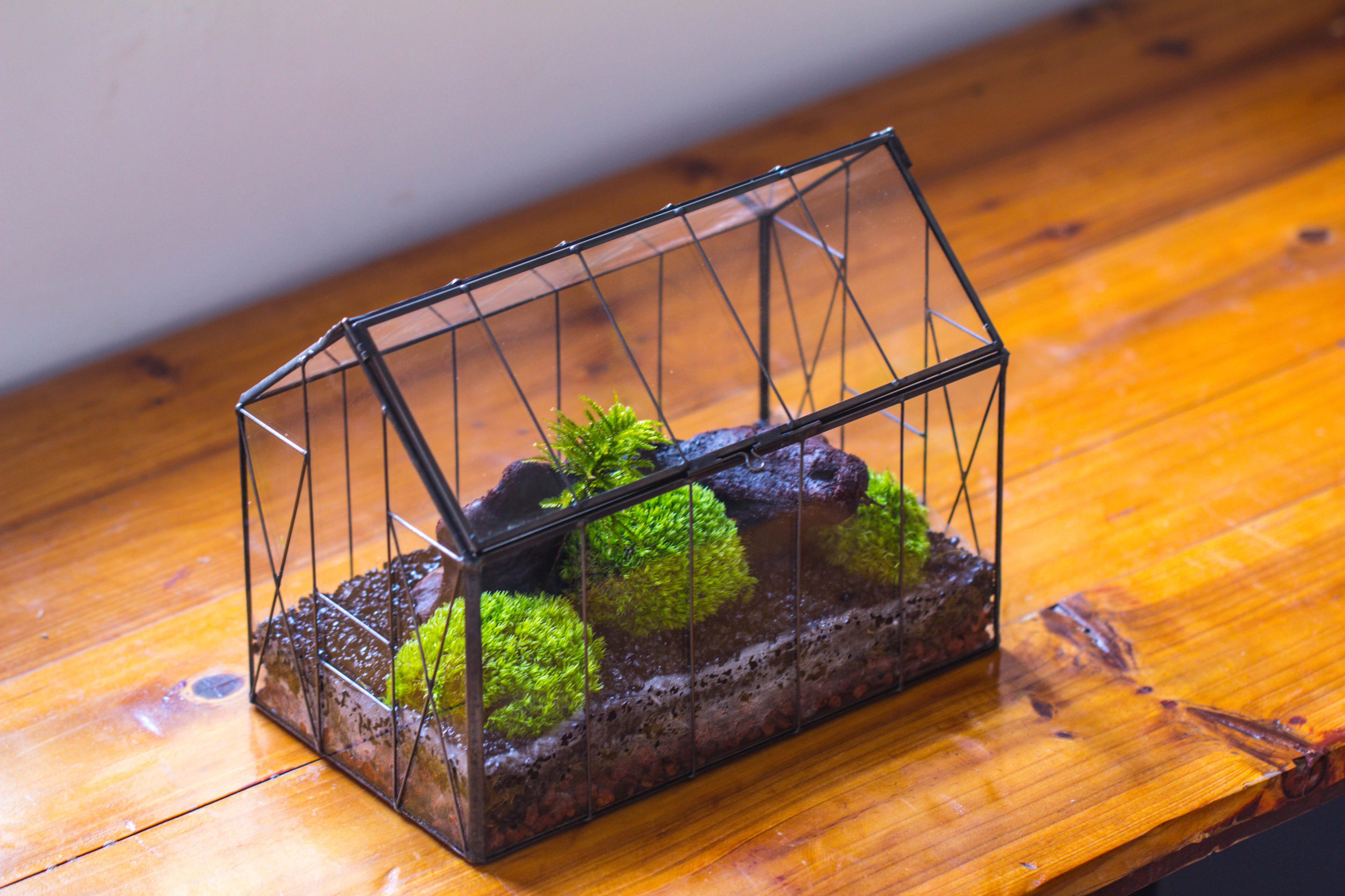 Vintge Greenhouse inspired tin and glass geometric terrarium Terarium, Close, for moss, fern, shade plants, micro landscape - NCYPgarden