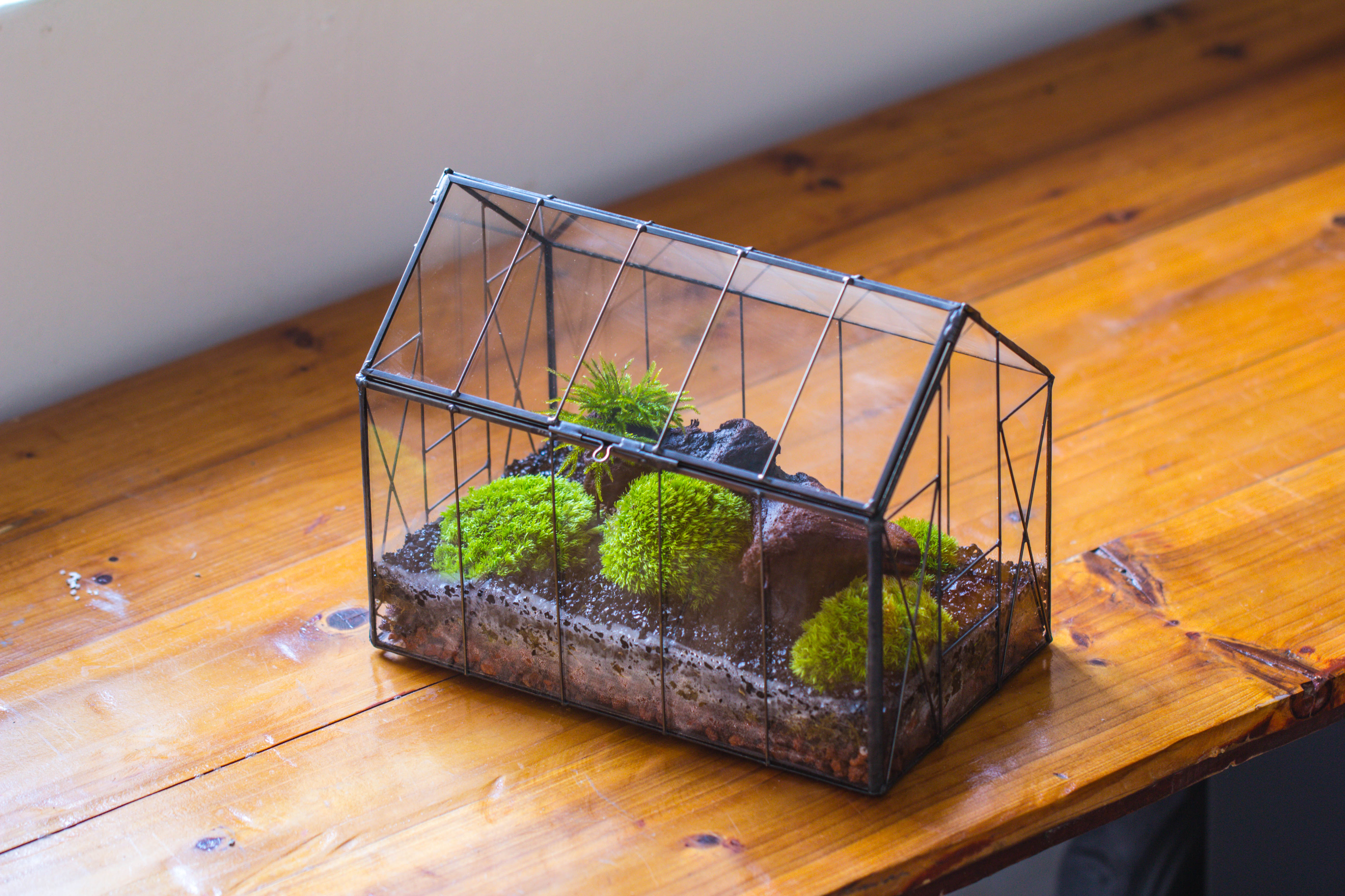 Vintge Greenhouse inspired tin and glass geometric terrarium Terarium, Close, for moss, fern, shade plants, micro landscape - NCYPgarden