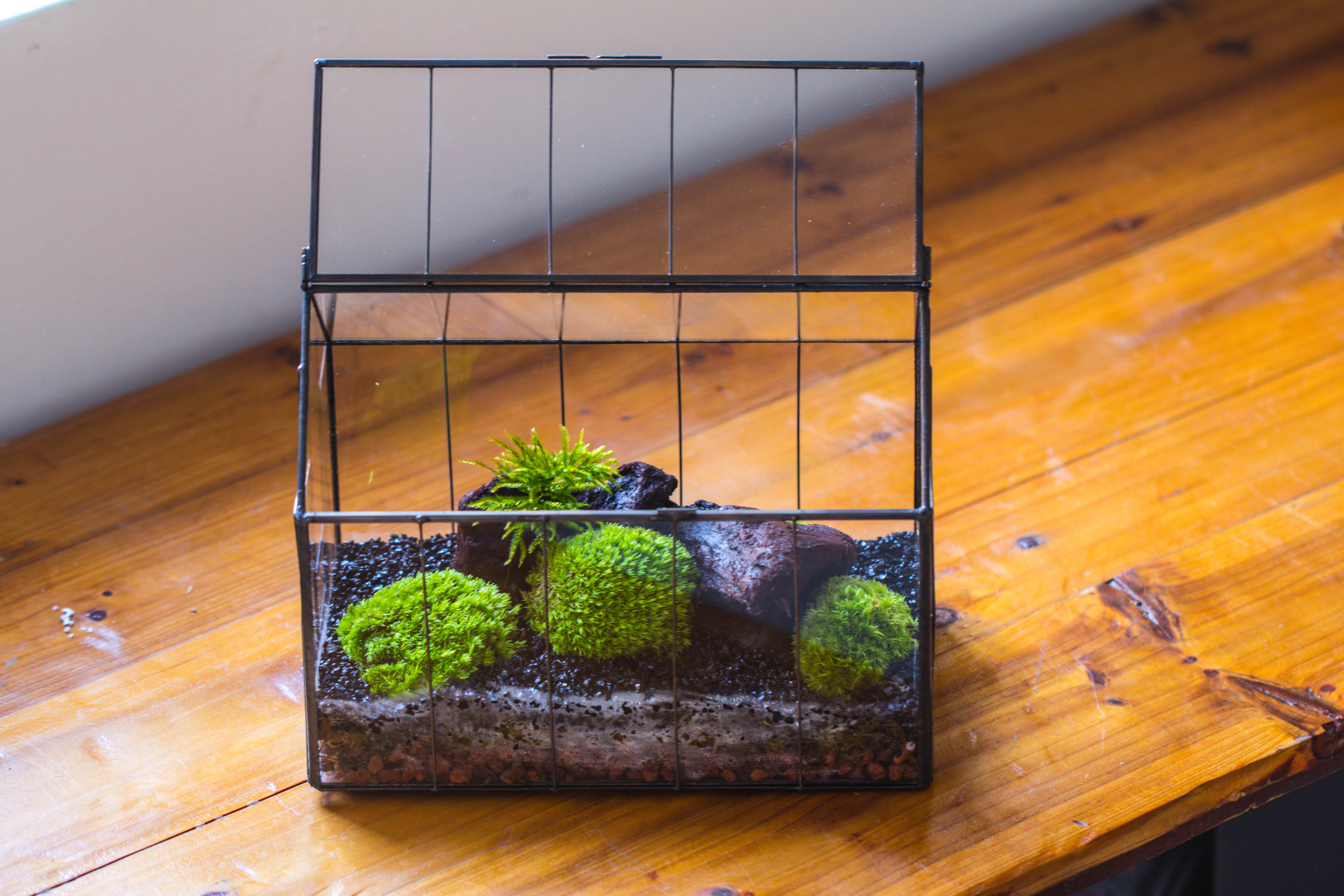 Vintge Greenhouse inspired tin and glass geometric terrarium Terarium, Close, for moss, fern, shade plants, micro landscape - NCYPgarden