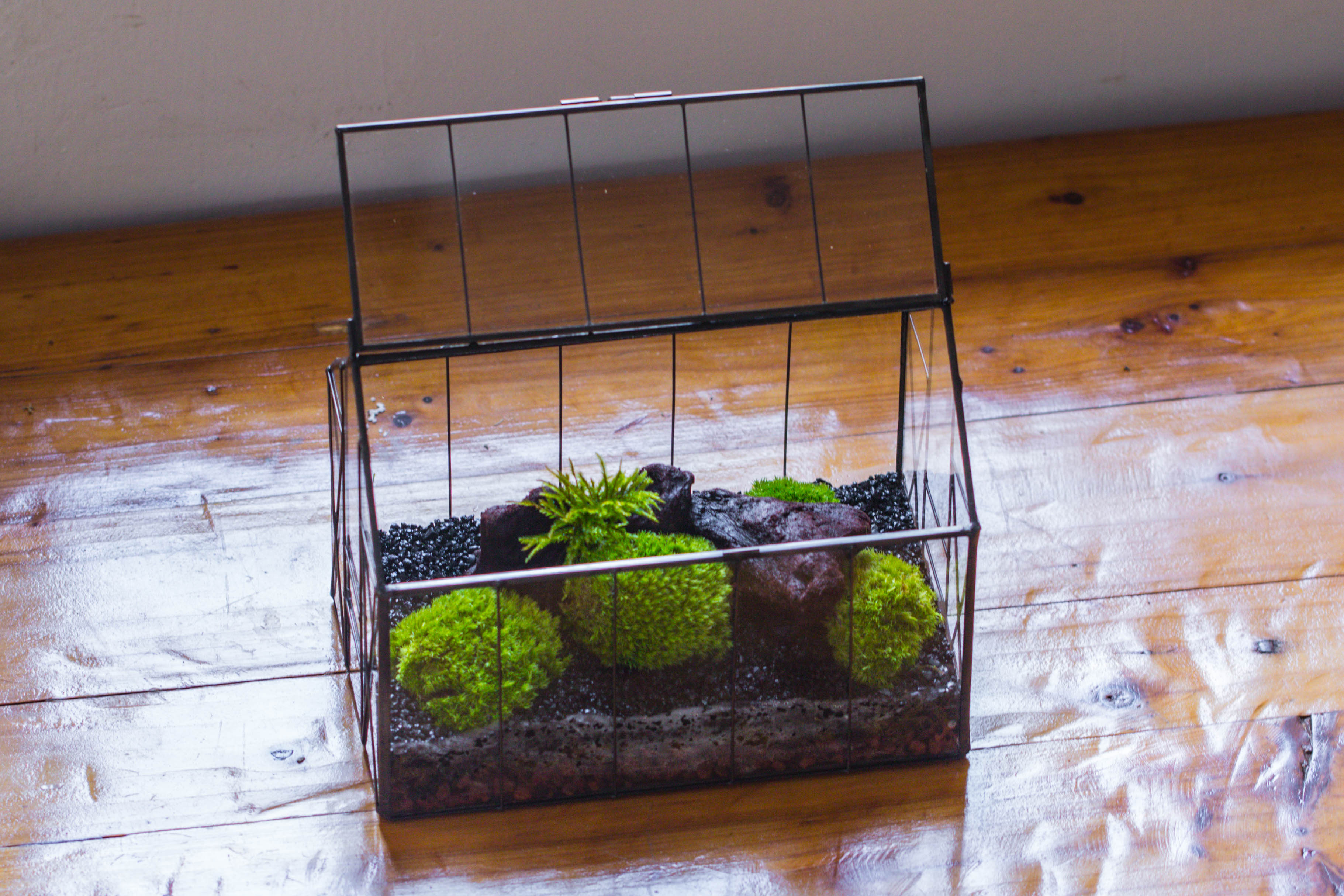 Vintge Greenhouse inspired tin and glass geometric terrarium Terarium, Close, for moss, fern, shade plants, micro landscape - NCYPgarden