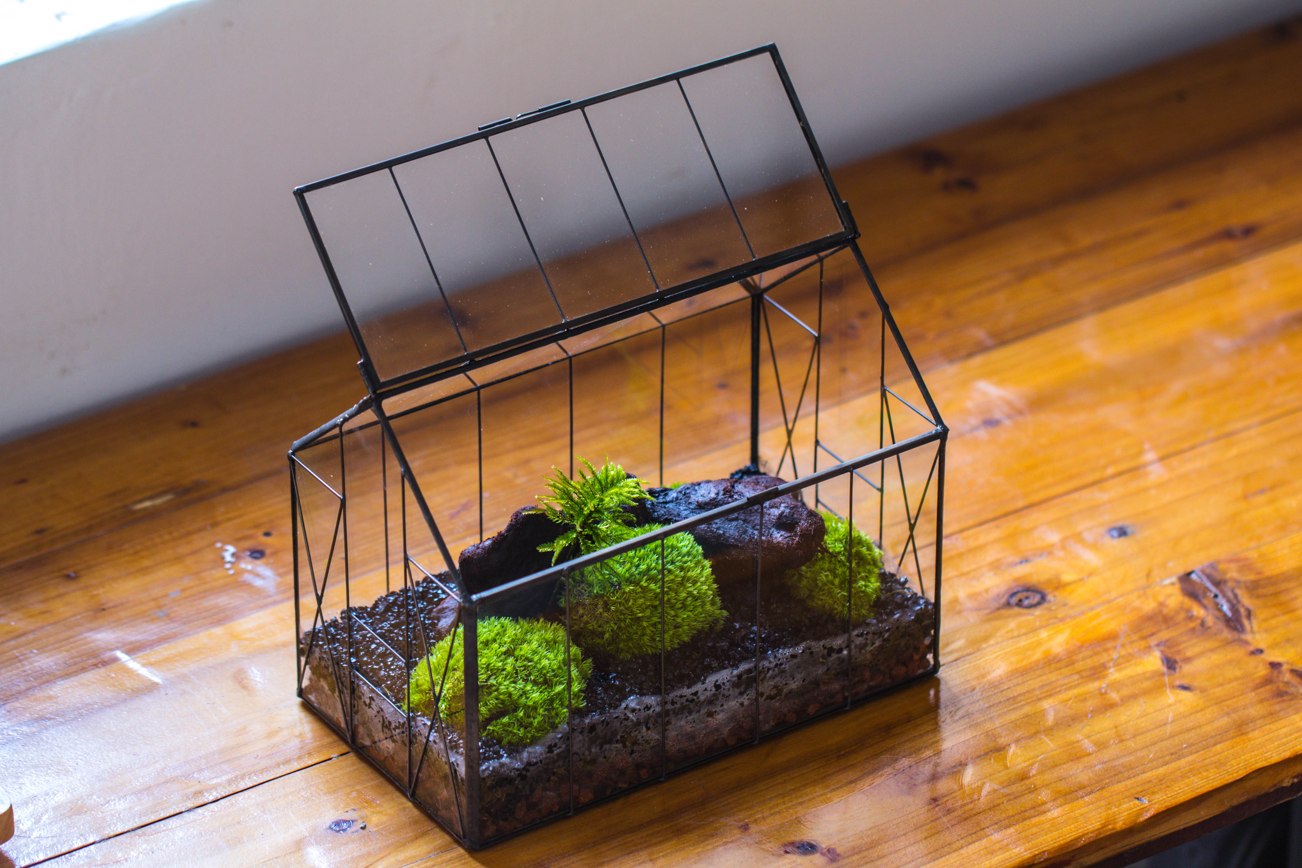 Vintge Greenhouse inspired tin and glass geometric terrarium Terarium, Close, for moss, fern, shade plants, micro landscape - NCYPgarden