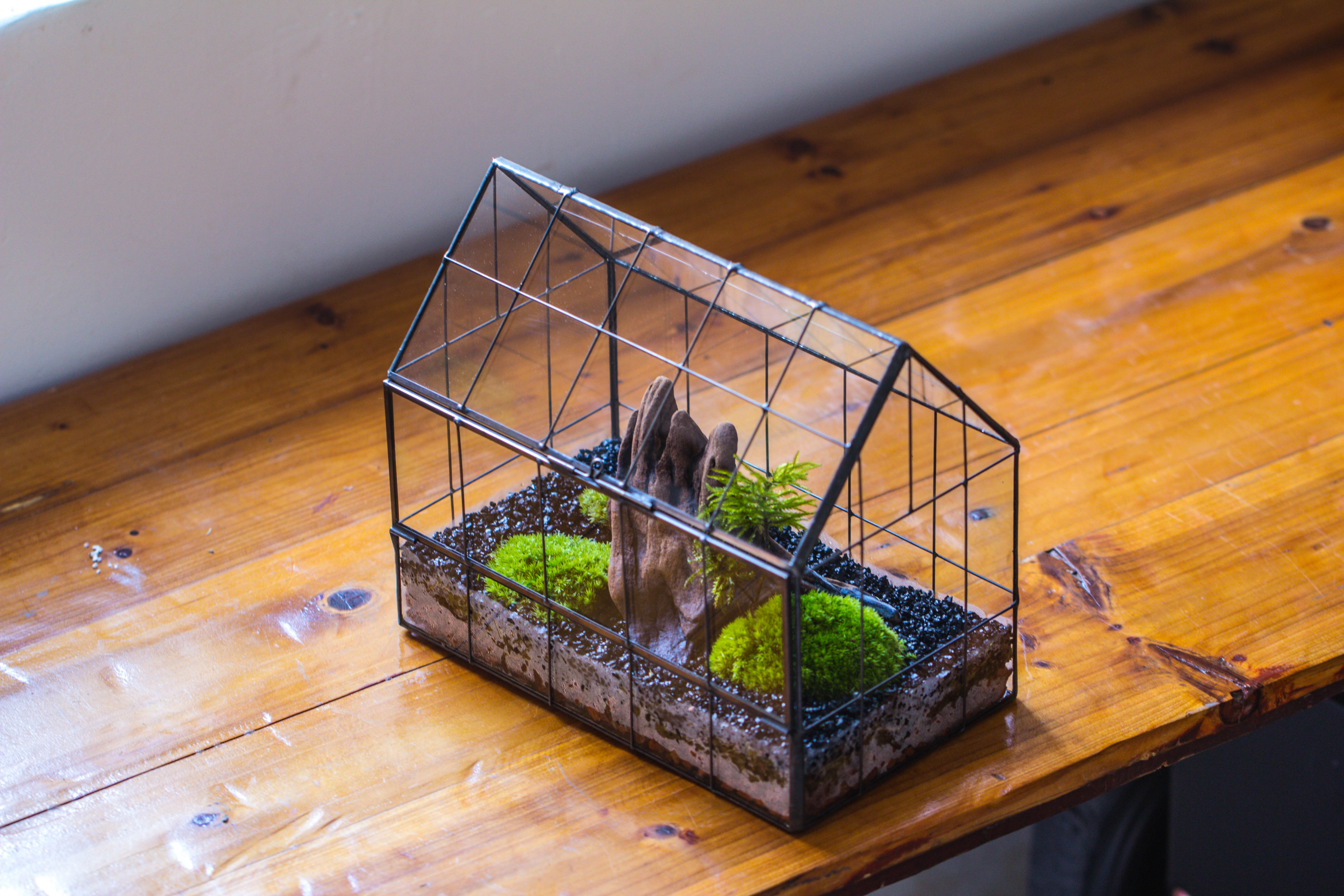 Vintge Greenhouse inspired tin and glass geometric Terarium, side door, Close, for moss, fern, shade plants, micro landscape - NCYPgarden