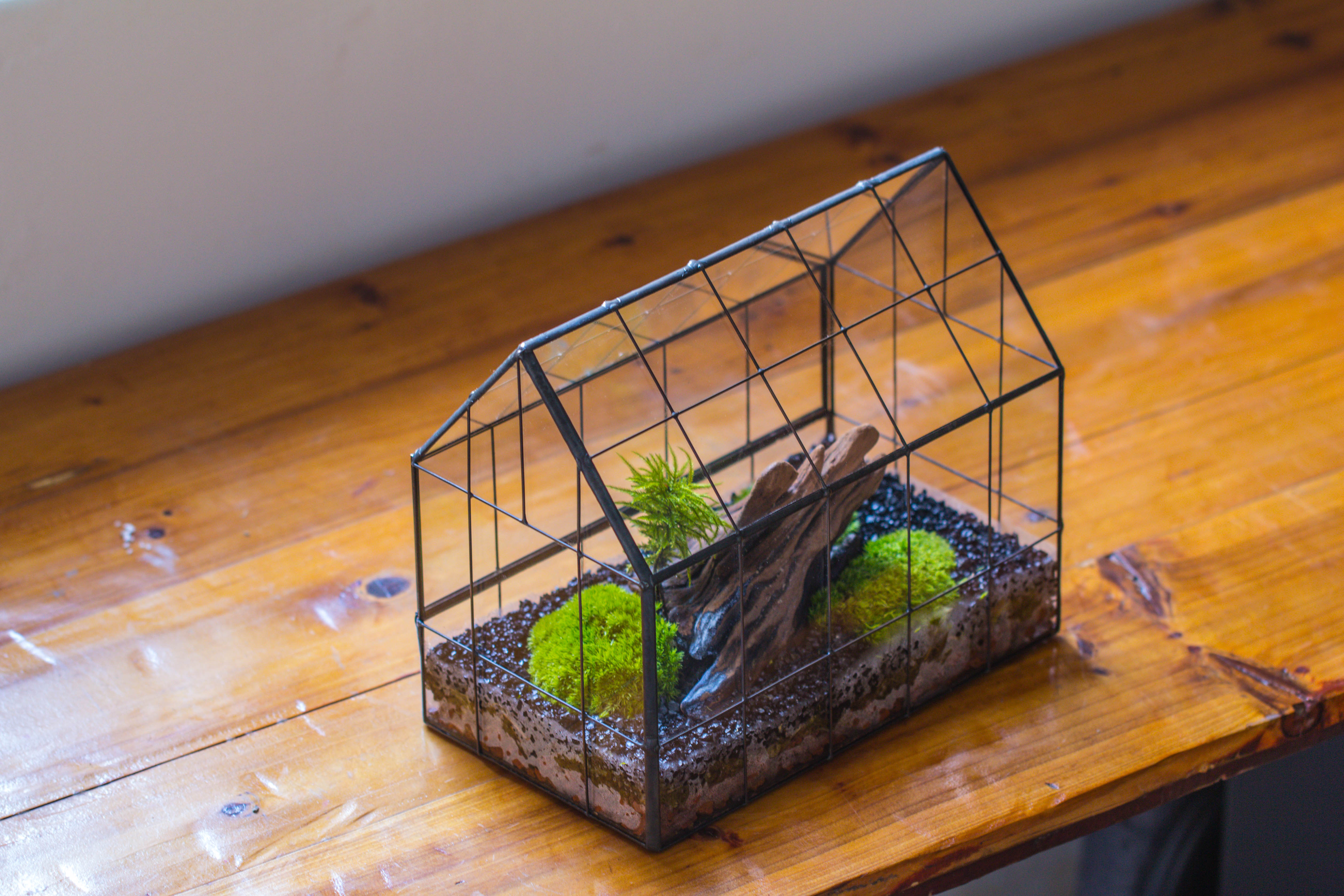 Vintge Greenhouse inspired tin and glass geometric Terarium, side door, Close, for moss, fern, shade plants, micro landscape - NCYPgarden