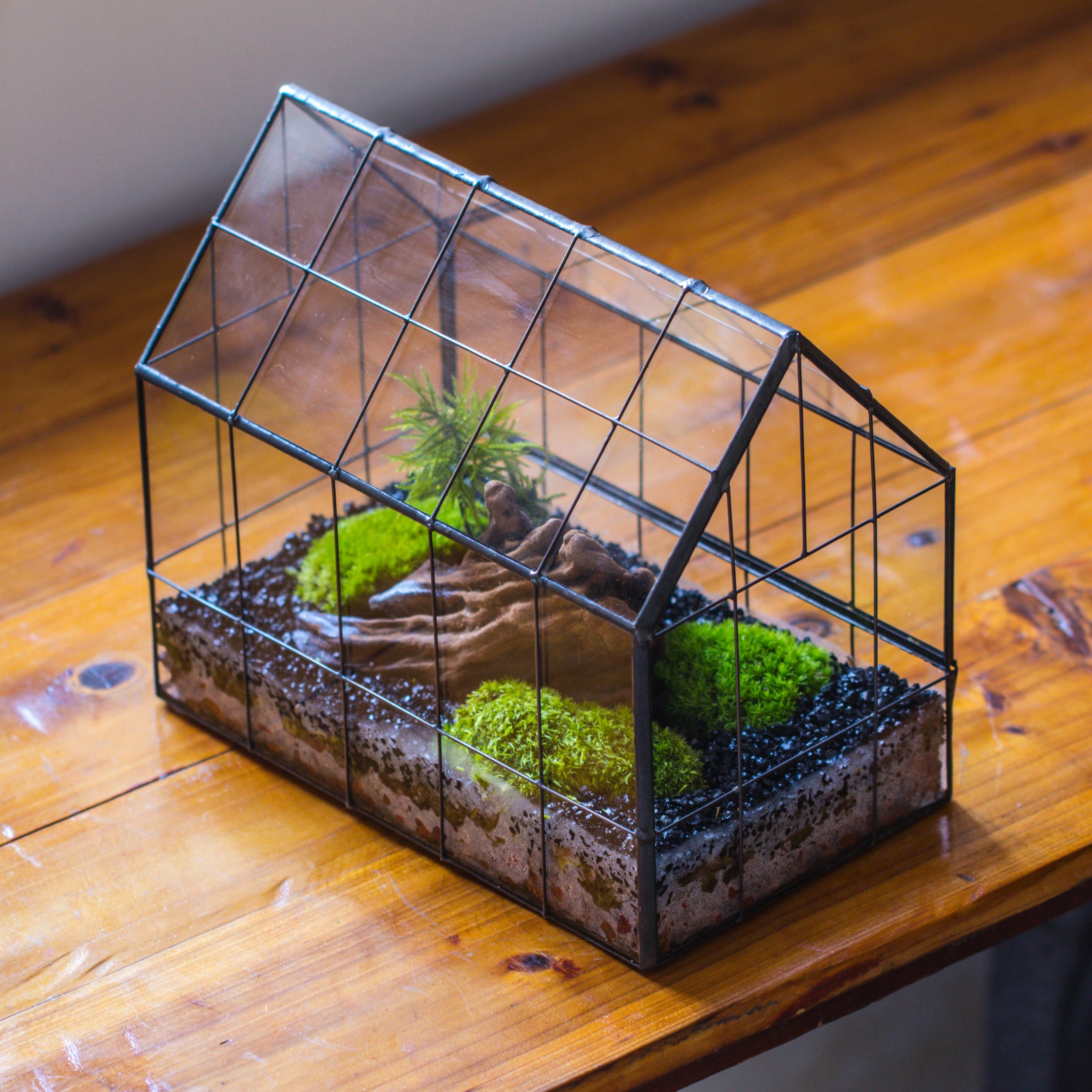 Vintge Greenhouse inspired tin and glass geometric Terarium, side door, Close, for moss, fern, shade plants, micro landscape - NCYPgarden